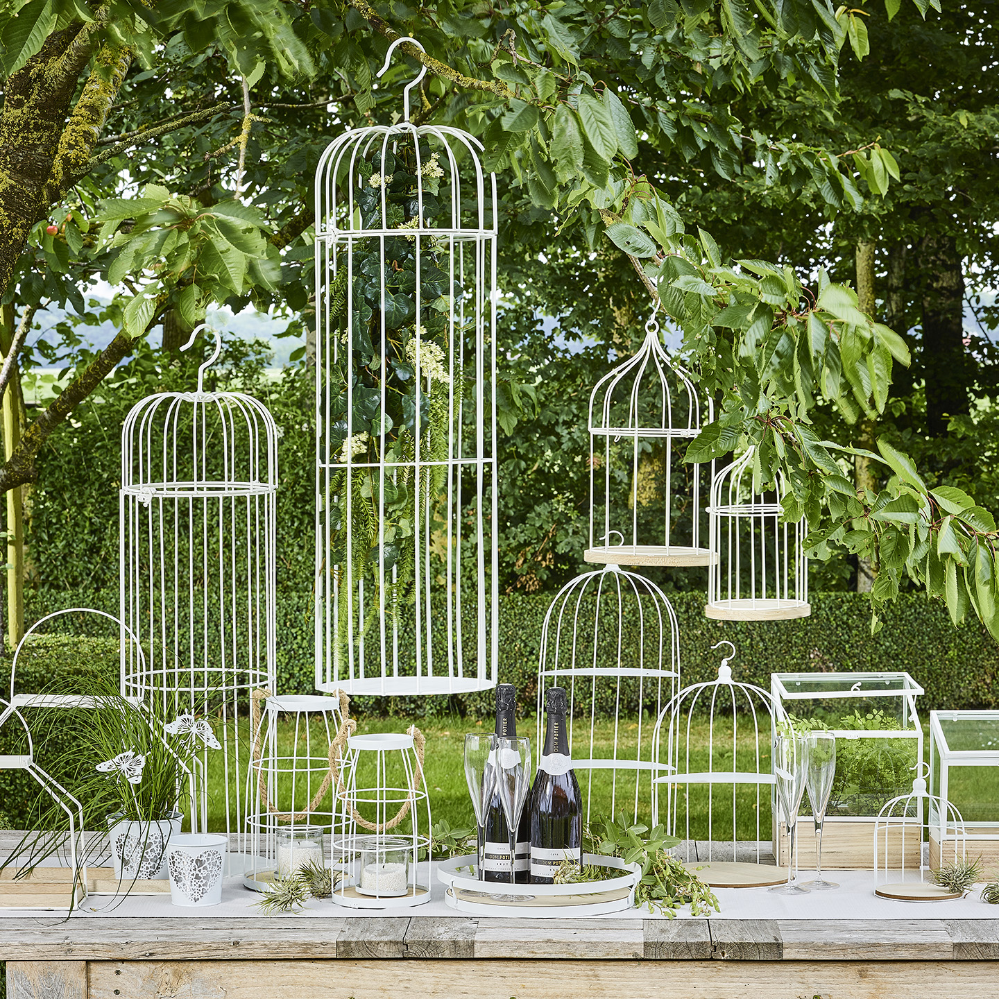 Collectie SimplyD voorjaar 2019 Collectie SimplyD voorjaar 2019