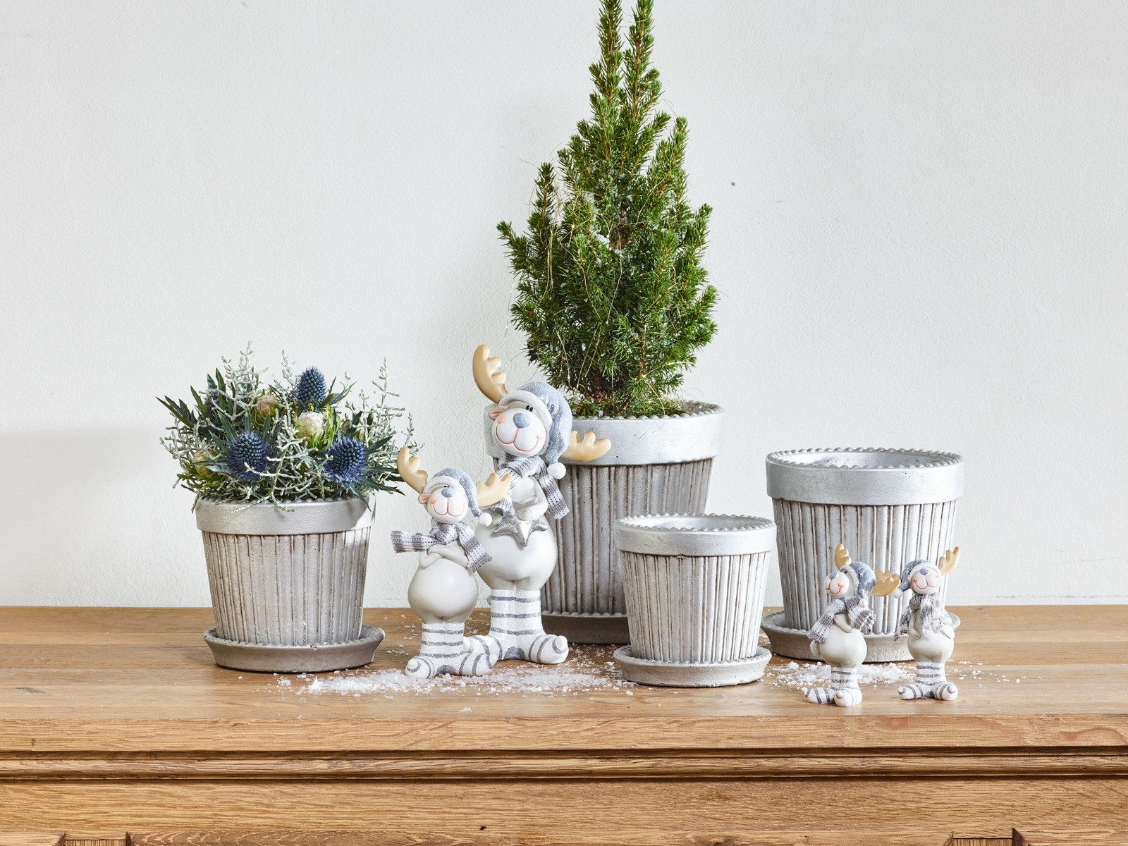Bevroren natuur collectie - SimplyD Bevroren natuur collectie - SimplyD