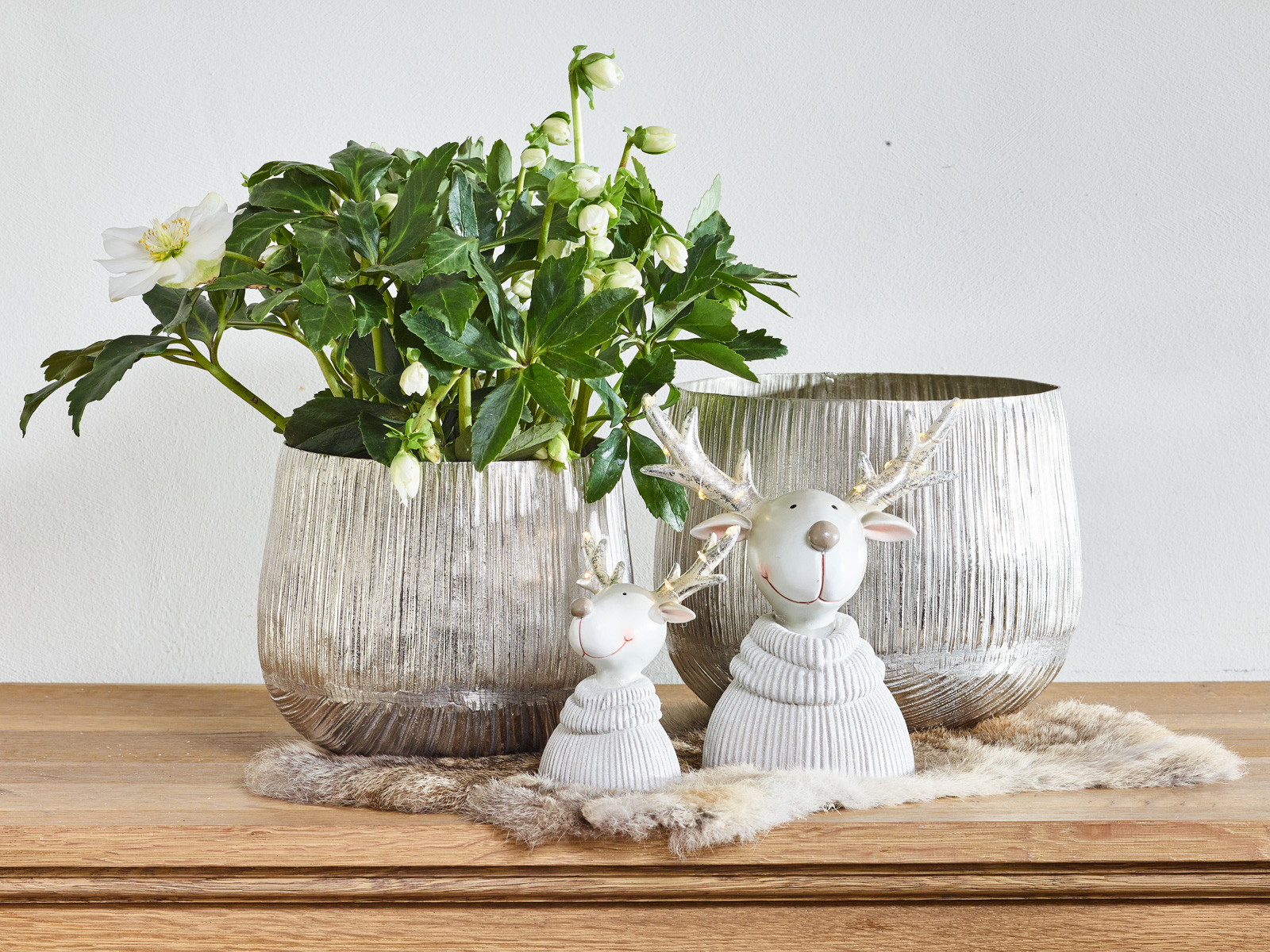 Bevroren natuur collectie - SimplyD Bevroren natuur collectie - SimplyD