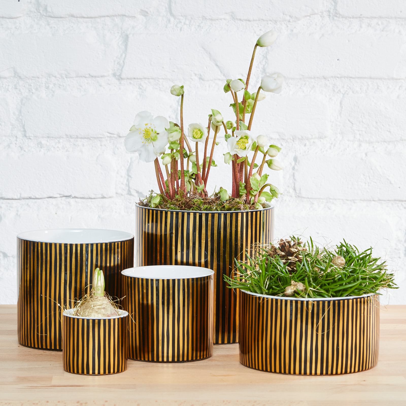 Golden black collectie - SimplyD