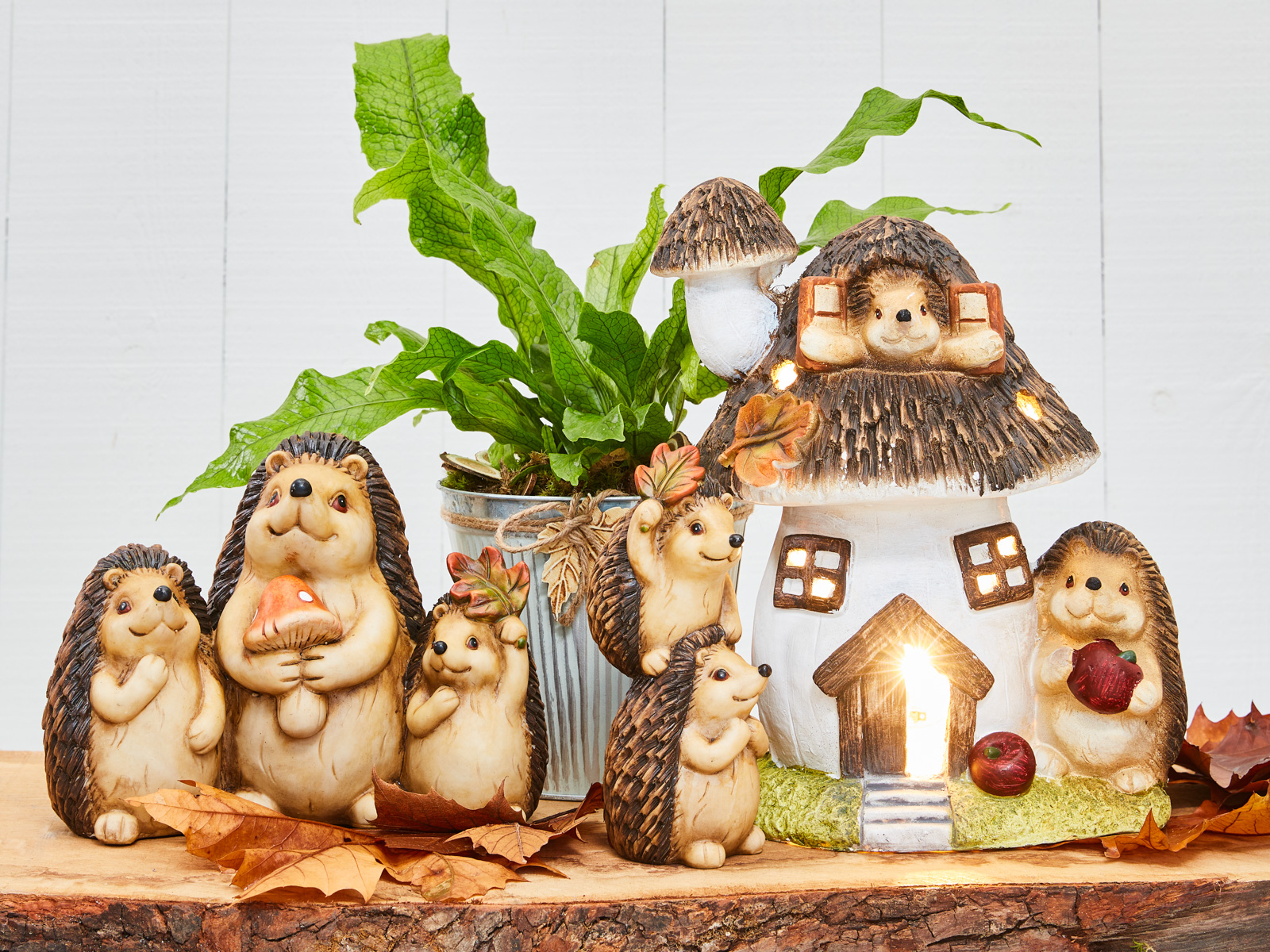 Herfstwandeling collectie - SimplyD
