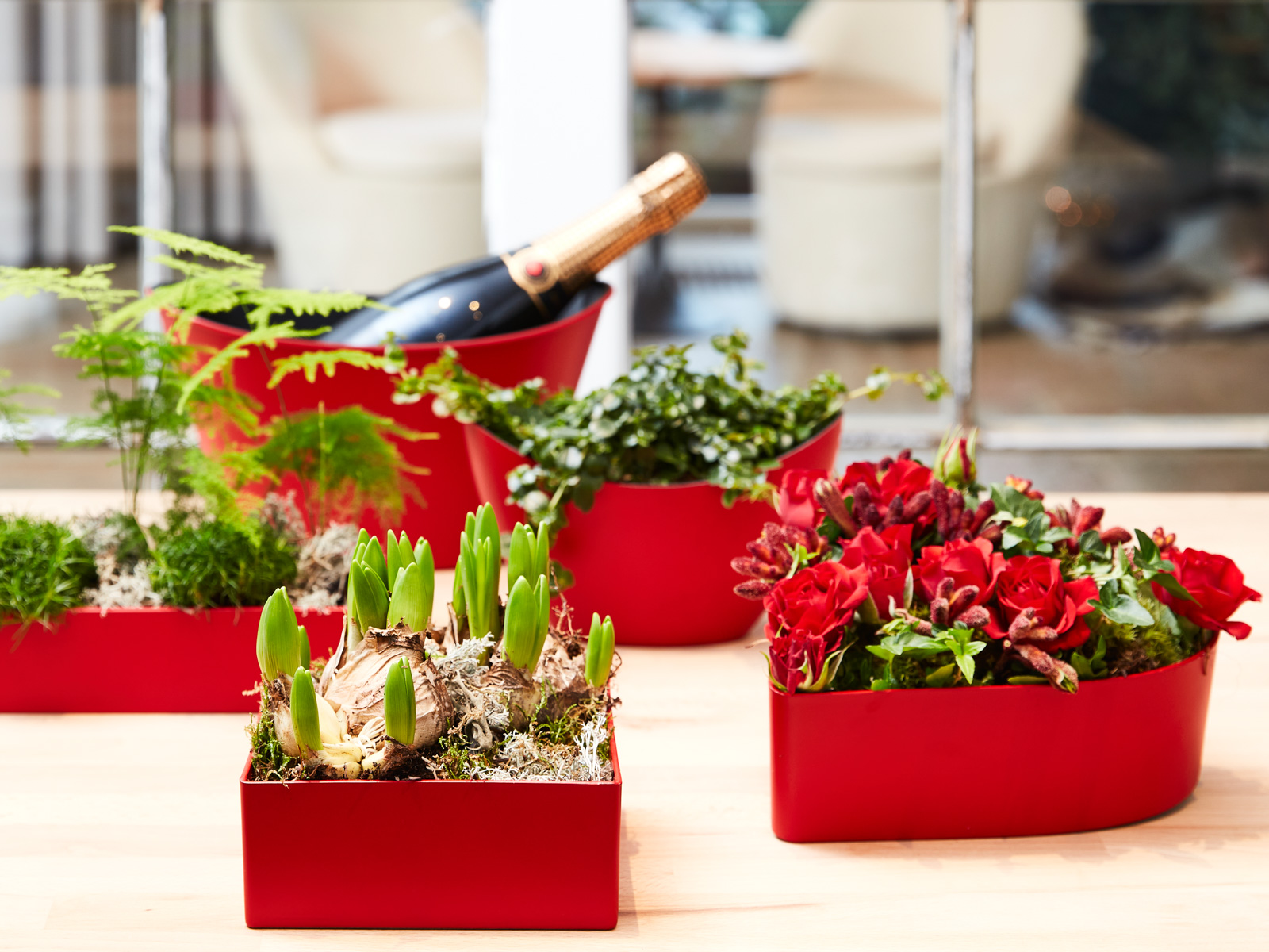 Ik hou van rood collectie - SimplyD Ik hou van rood collectie - SimplyD