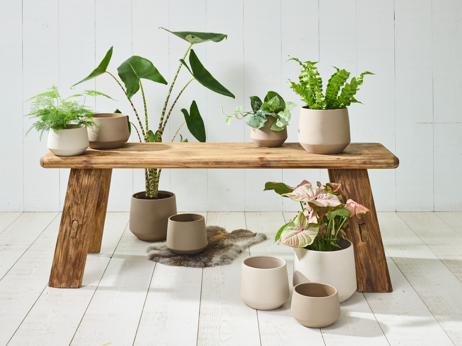Puur natuur collectie - SimplyD Puur natuur collectie - SimplyD