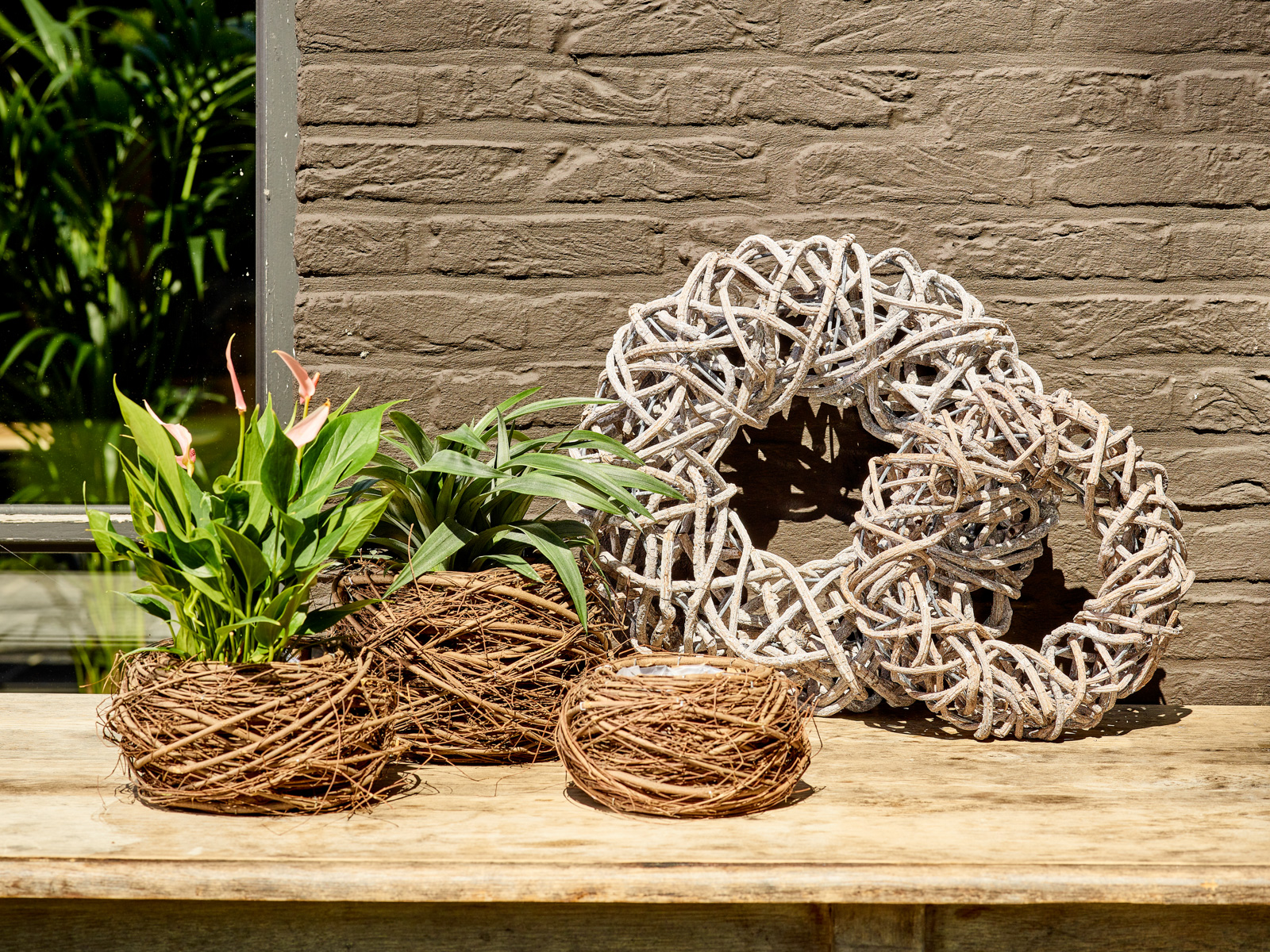Natuurschoon collectie - SimplyD