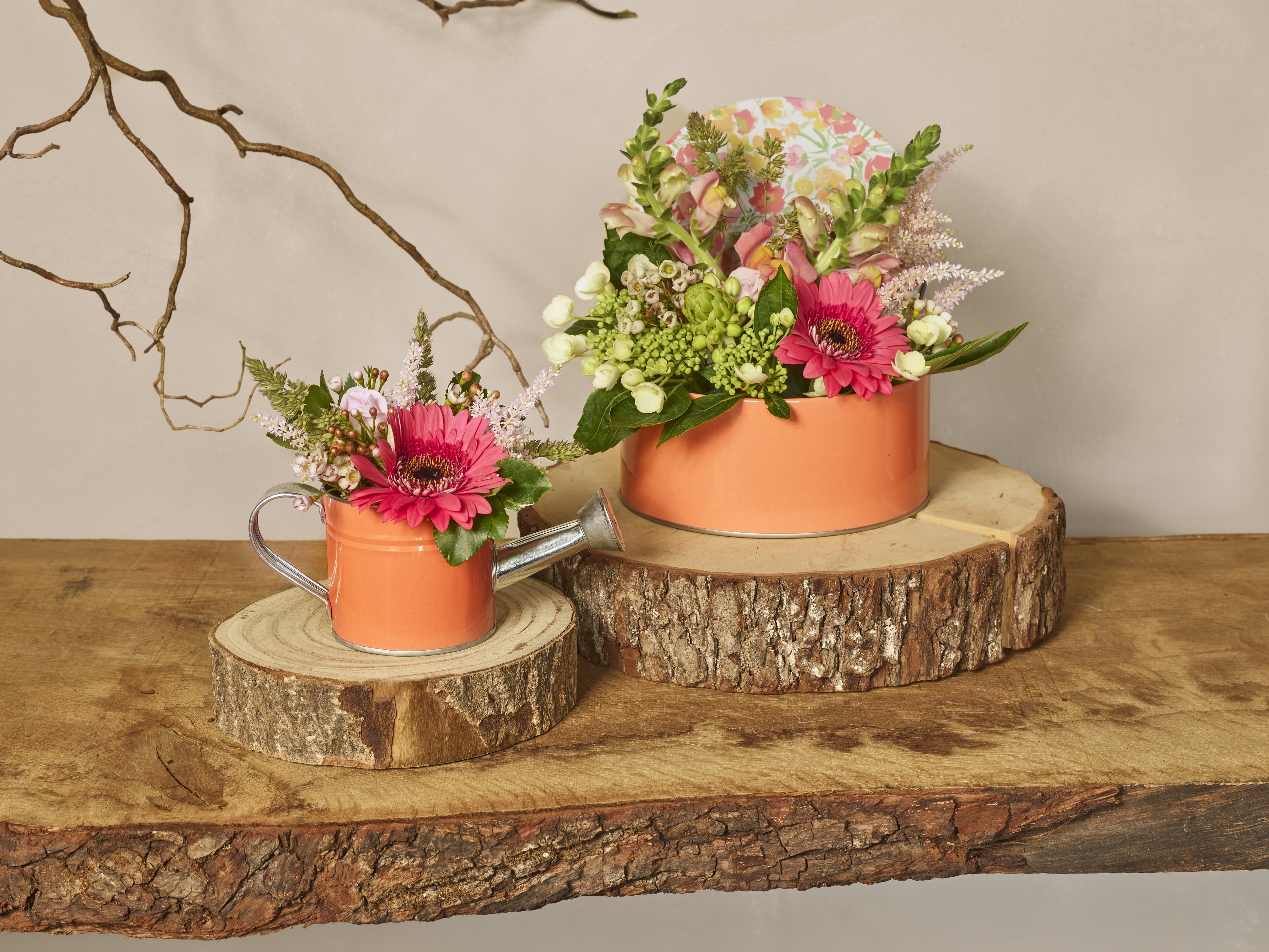 Wees mijn clementine collectie SimplyD Wees mijn clementine collectie SimplyD