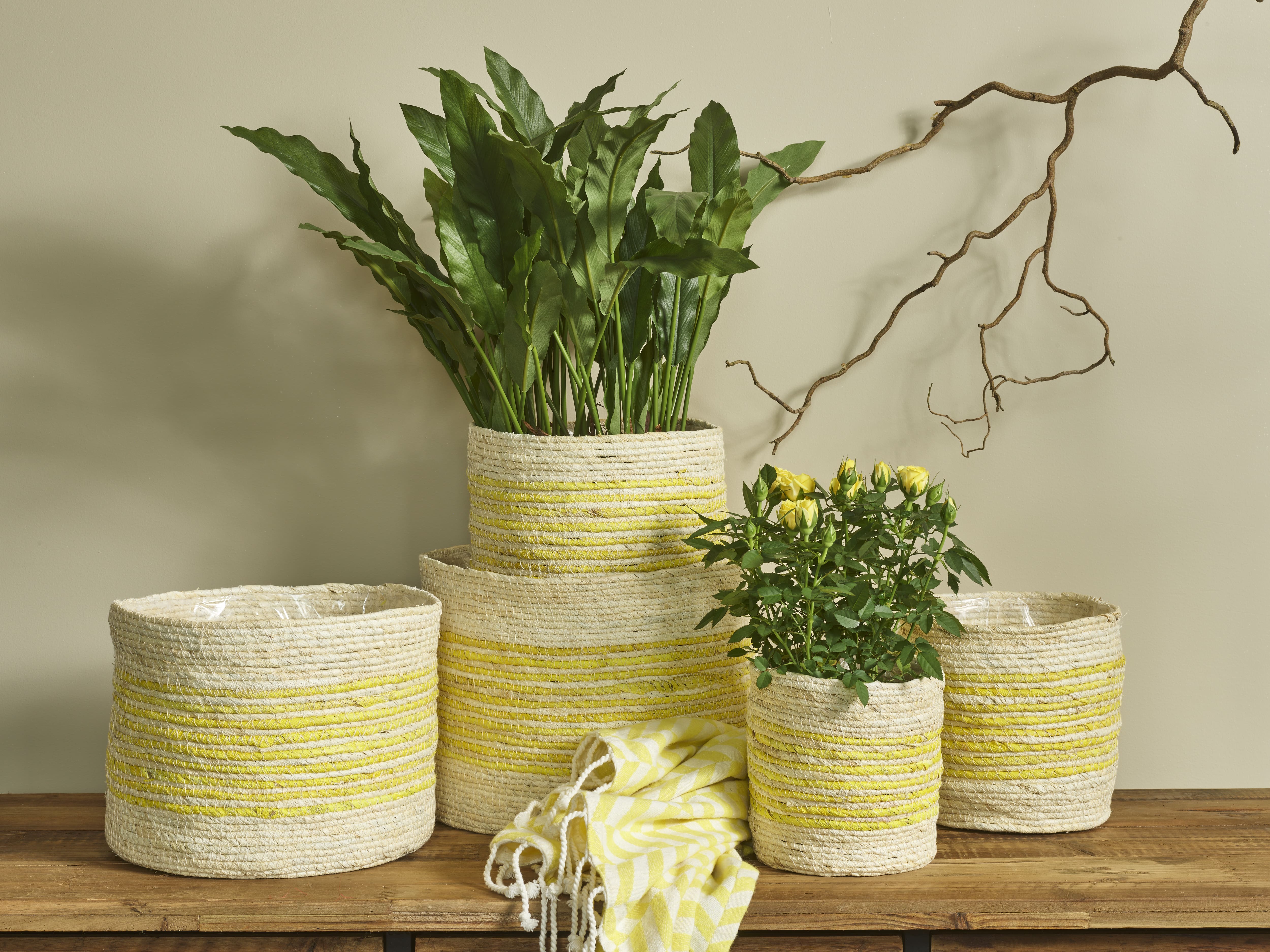 Zonnige lente collectie SimplyD Zonnige lente collectie SimplyD