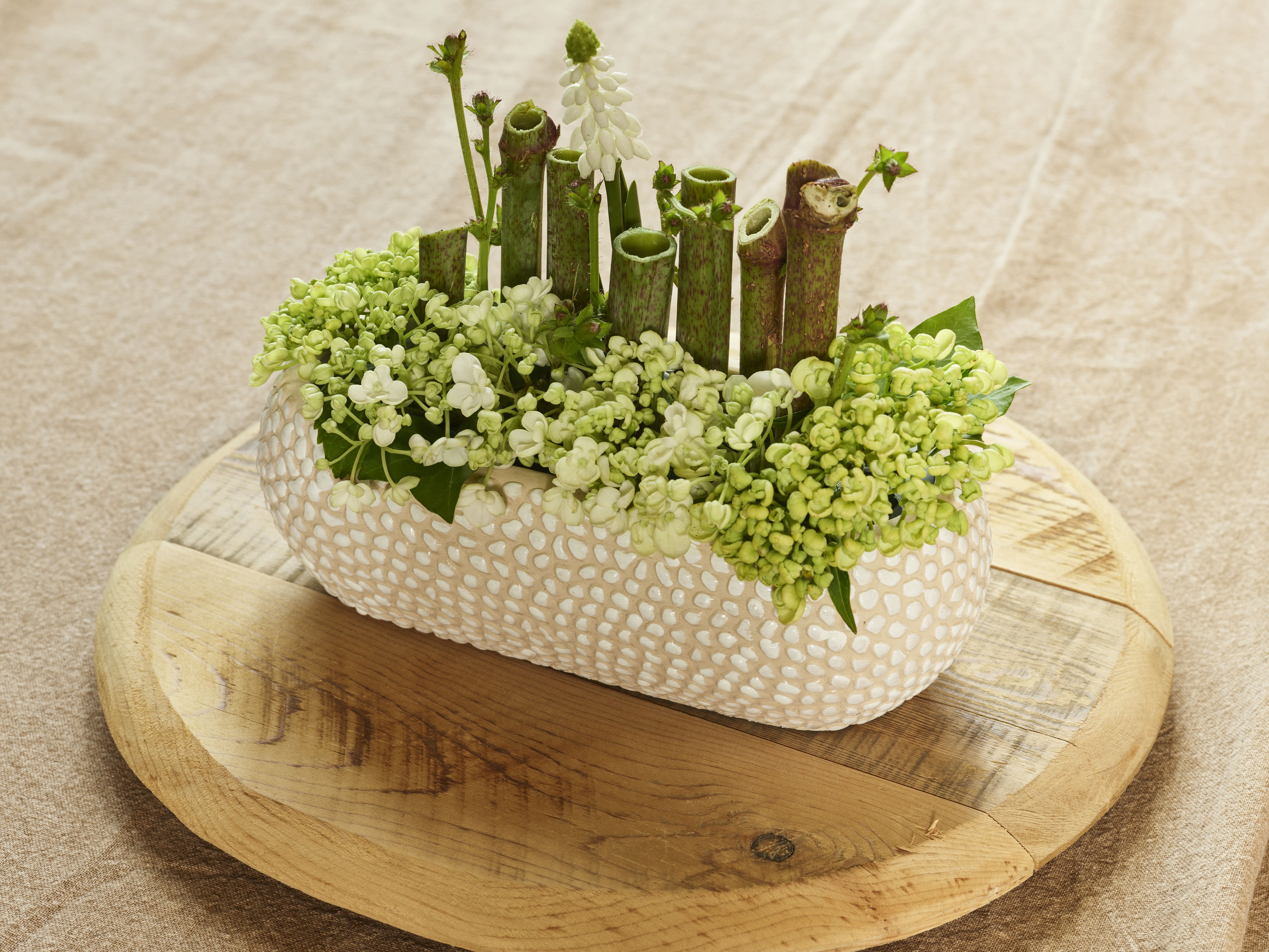 Natuurlijke elegantie collectie SimplyD Natuurlijke elegantie collectie SimplyD