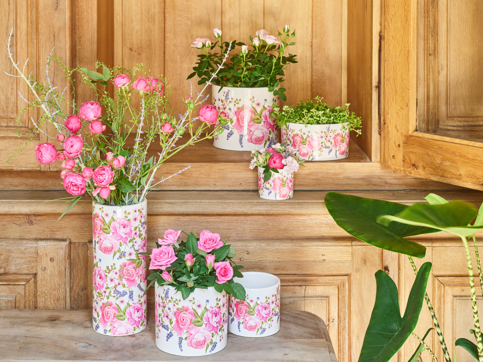 La vie en rose collectie - SimplyD La vie en rose collectie - SimplyD