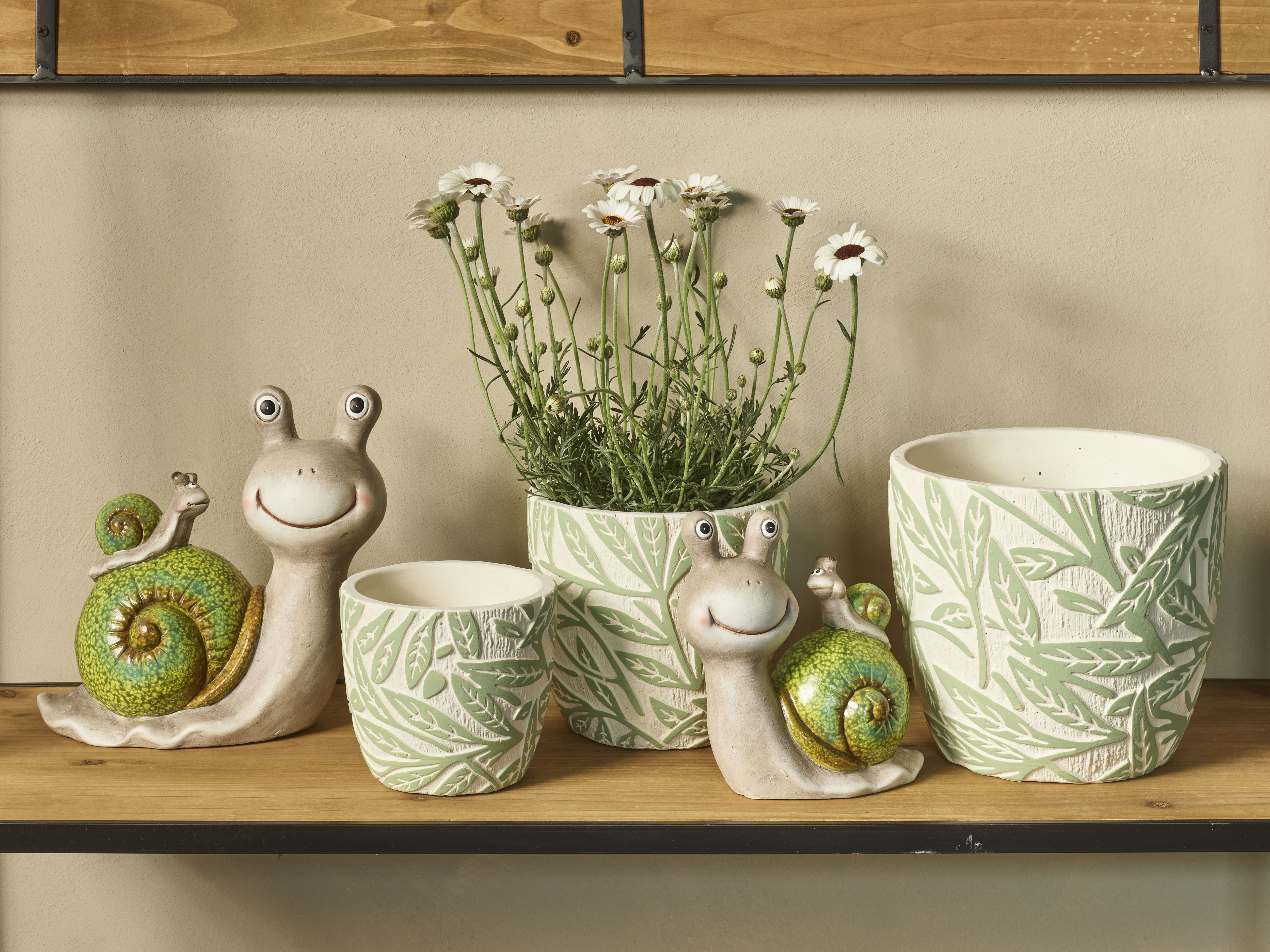 Graceful green collection SimplyD