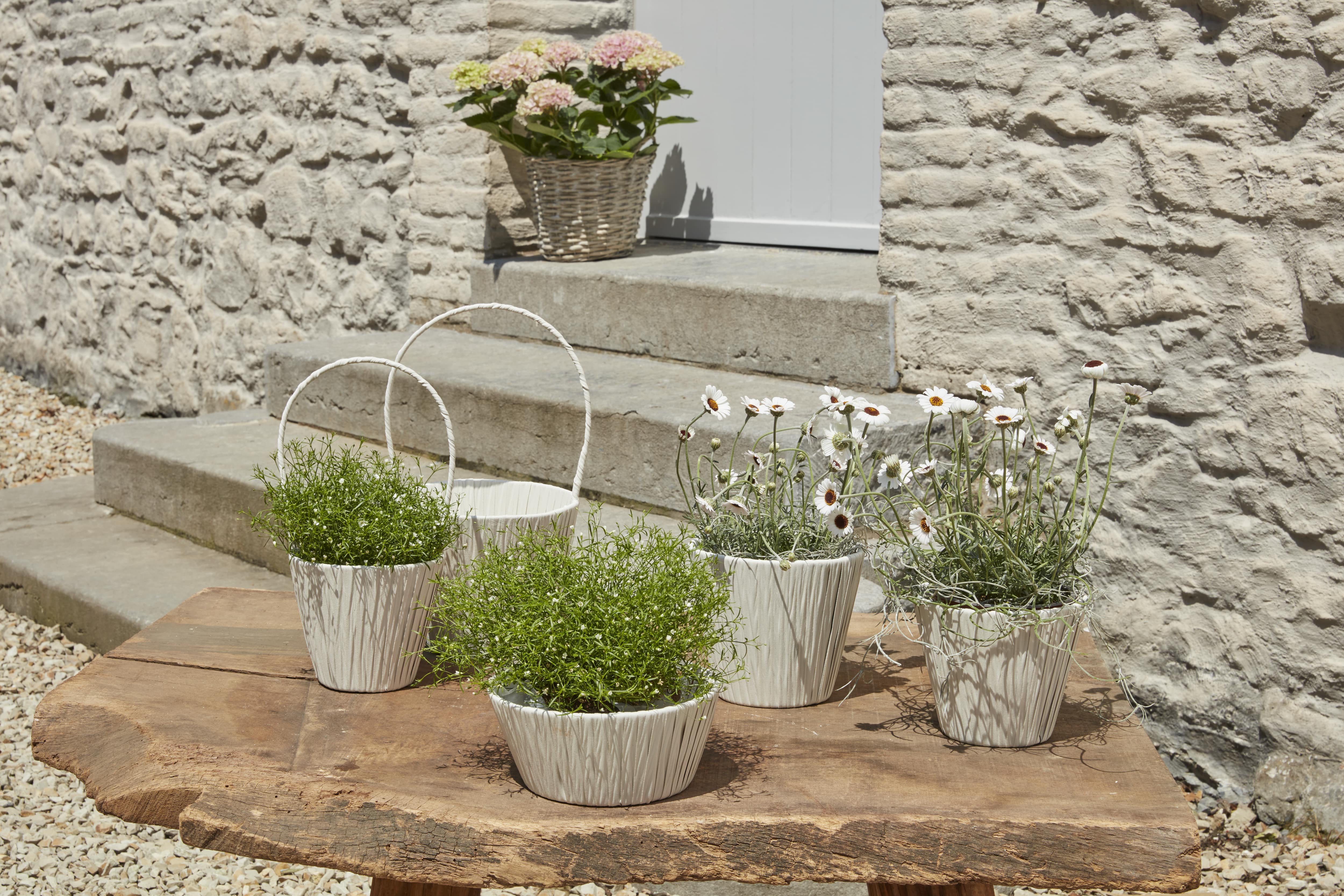 Base for flowers collection SimplyD