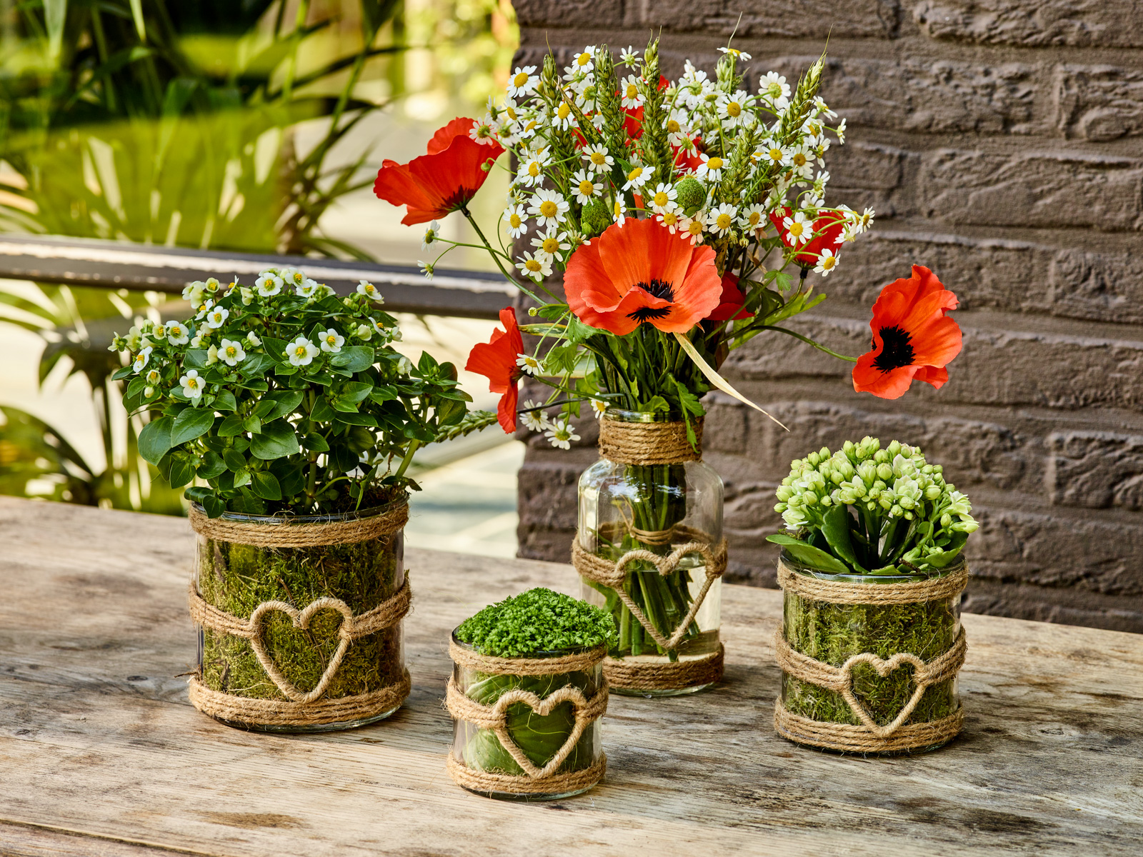 Natuurschoon collectie - SimplyD
