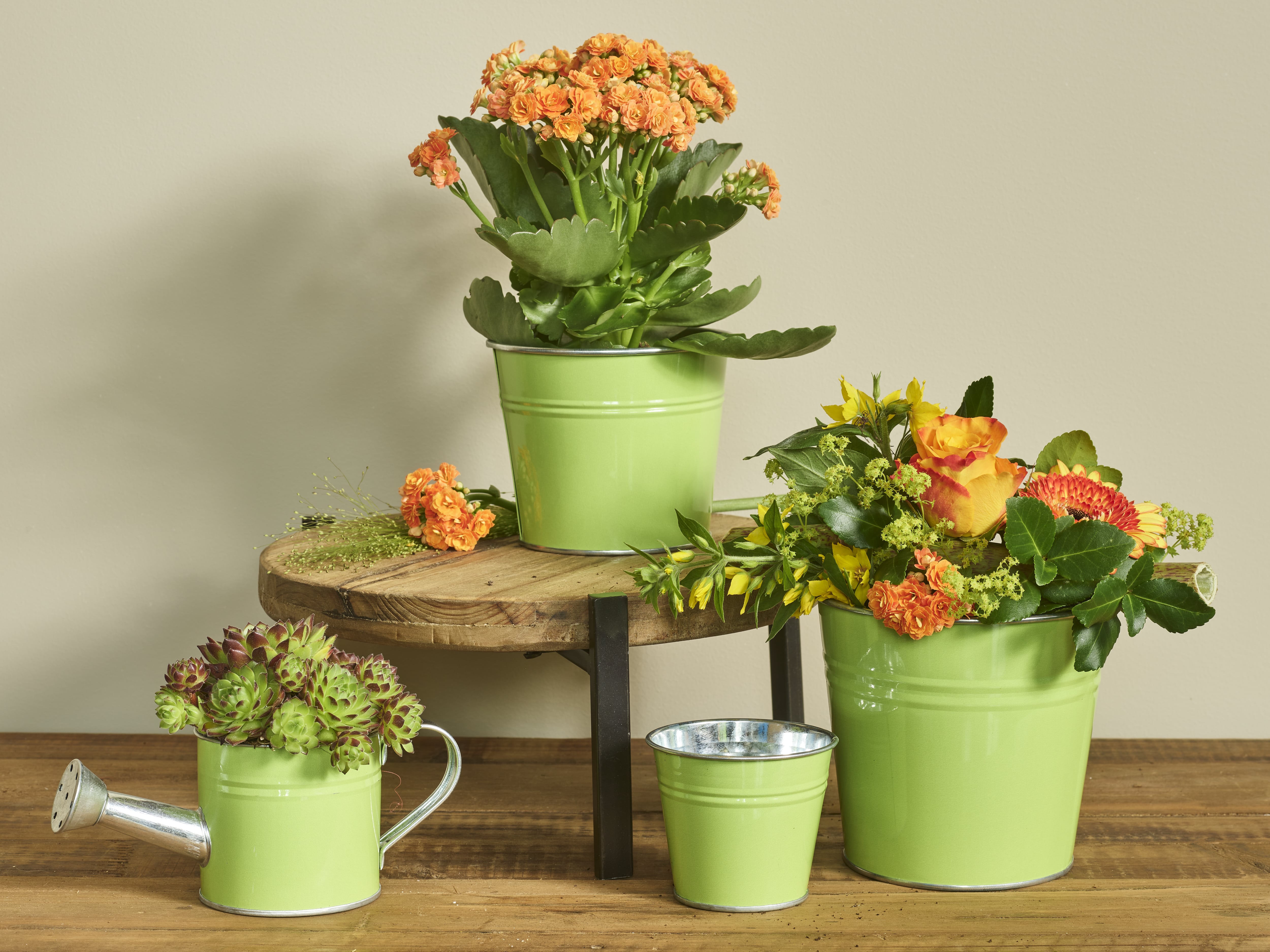 Easter with Sylvain collection SimplyD