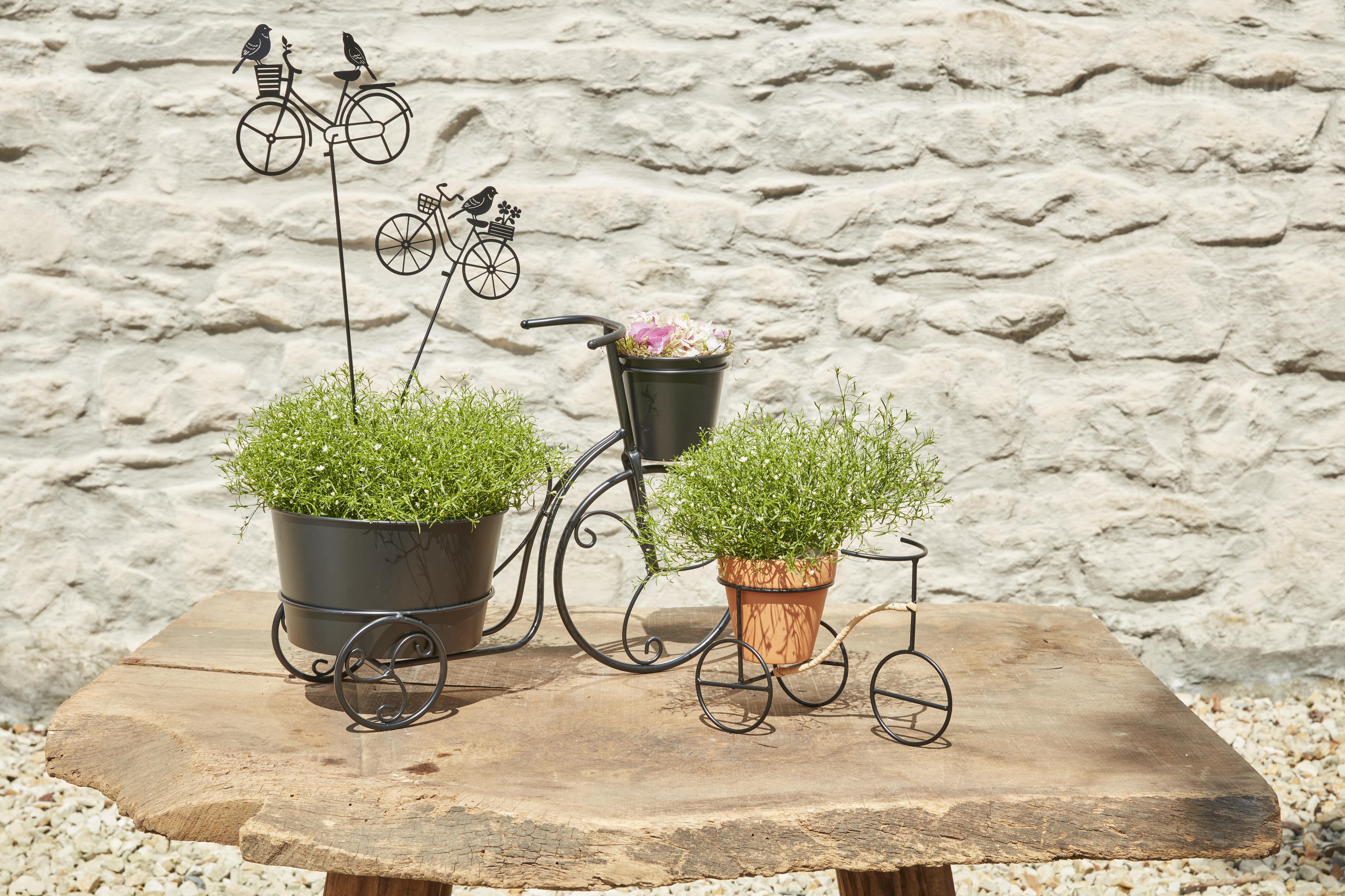 Base for flowers collection SimplyD