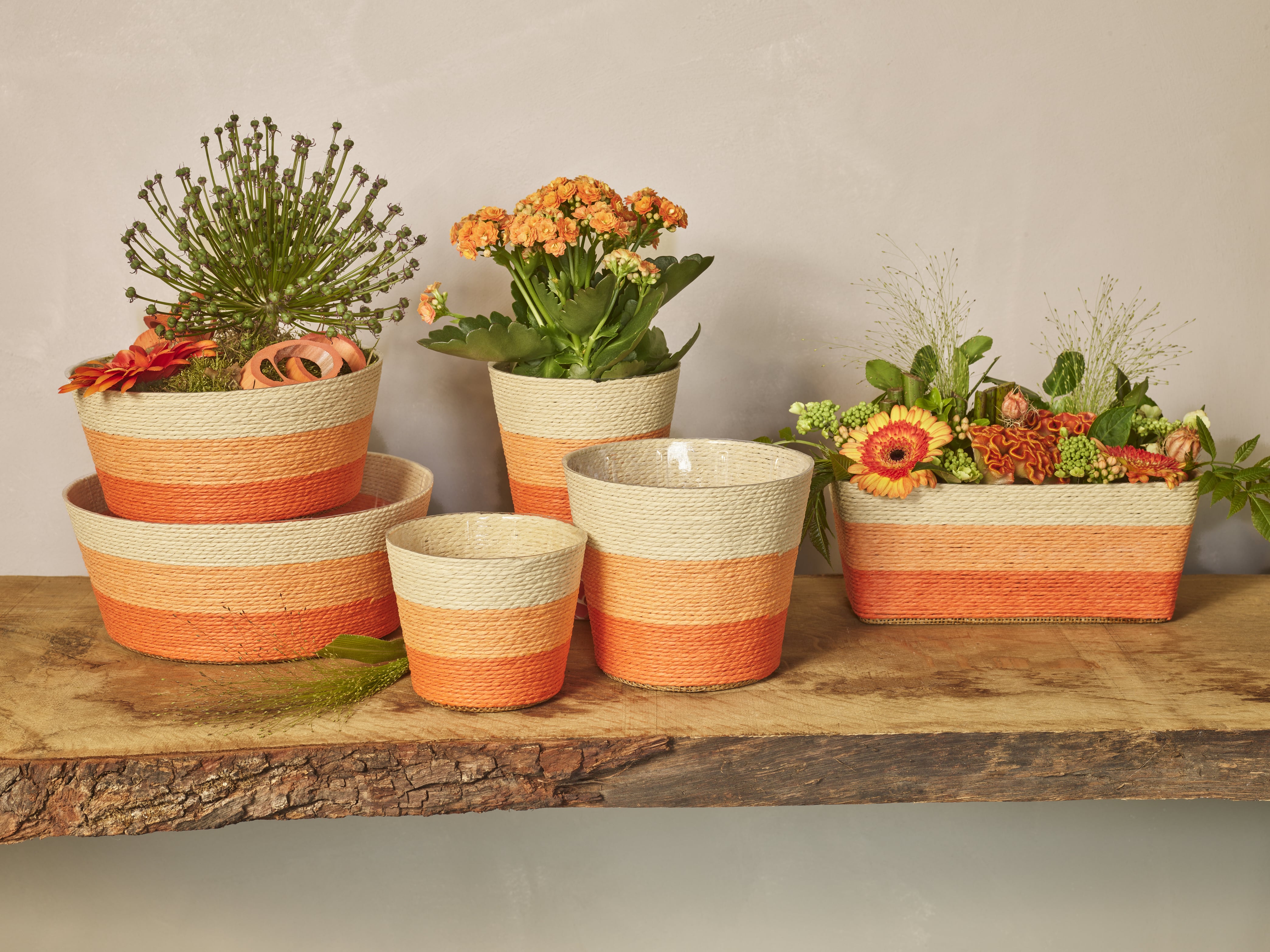 Wees mijn clementine collectie SimplyD Wees mijn clementine collectie SimplyD