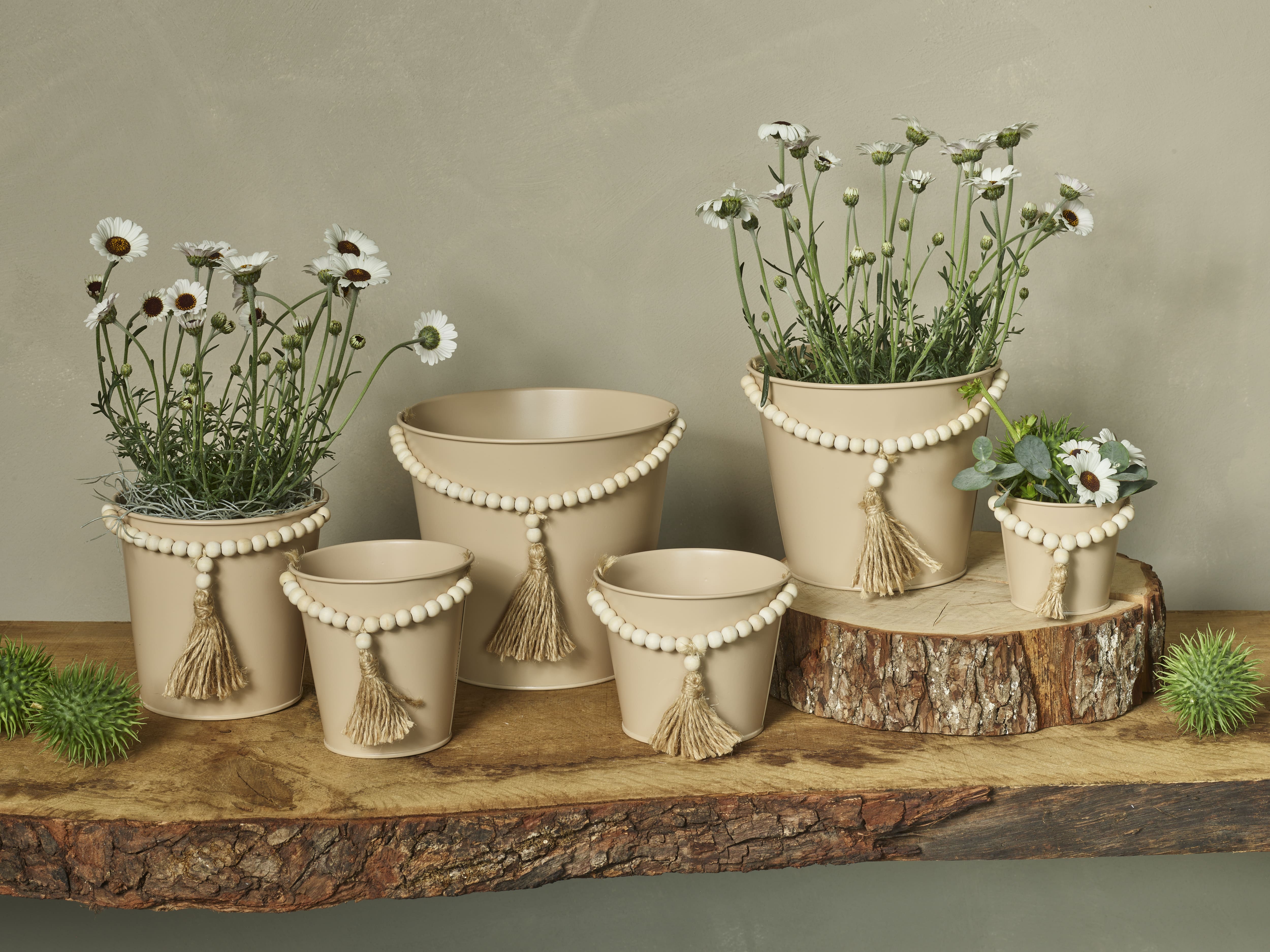 Graceful green collection SimplyD