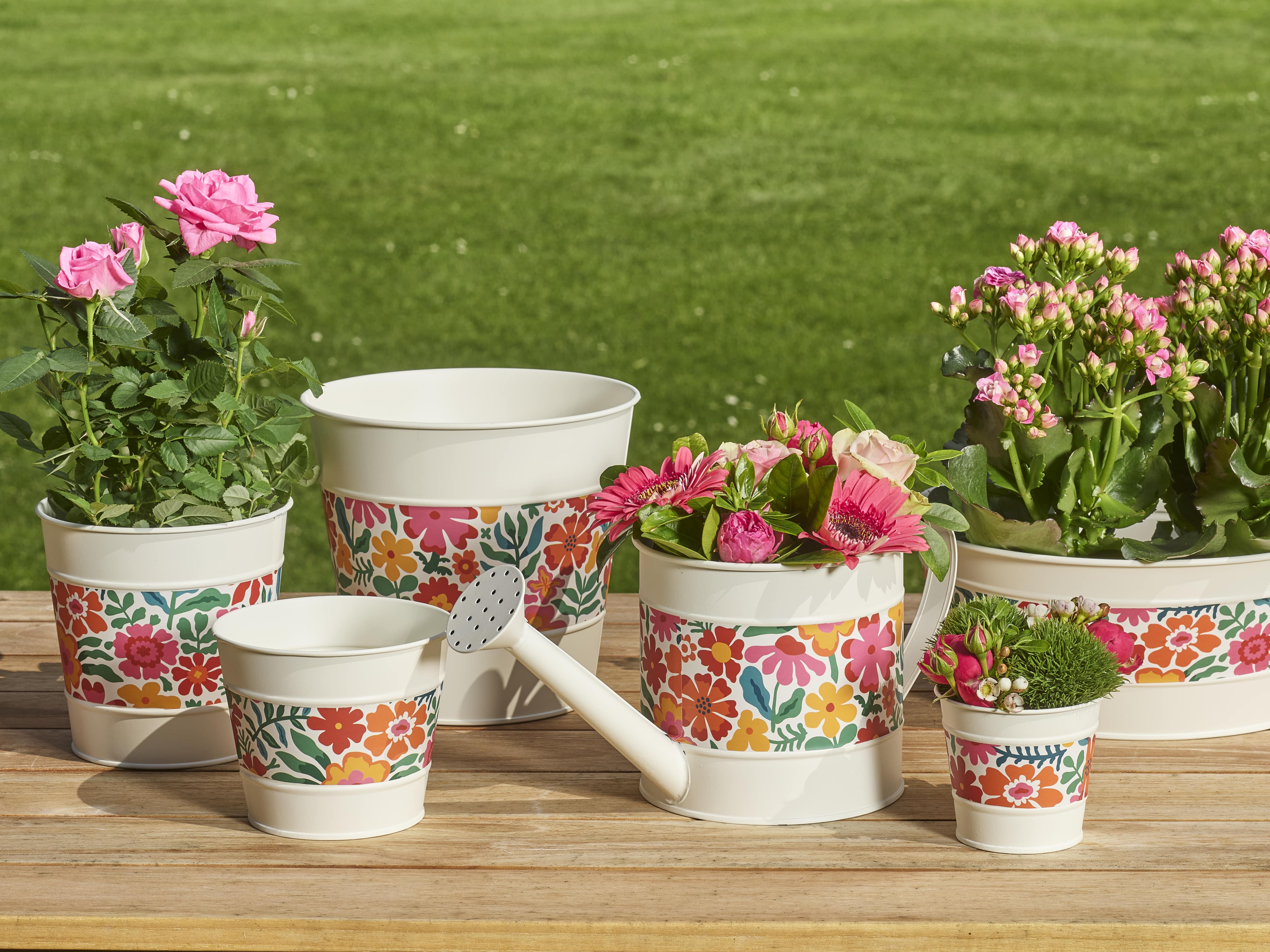 Summery day collection SimplyD