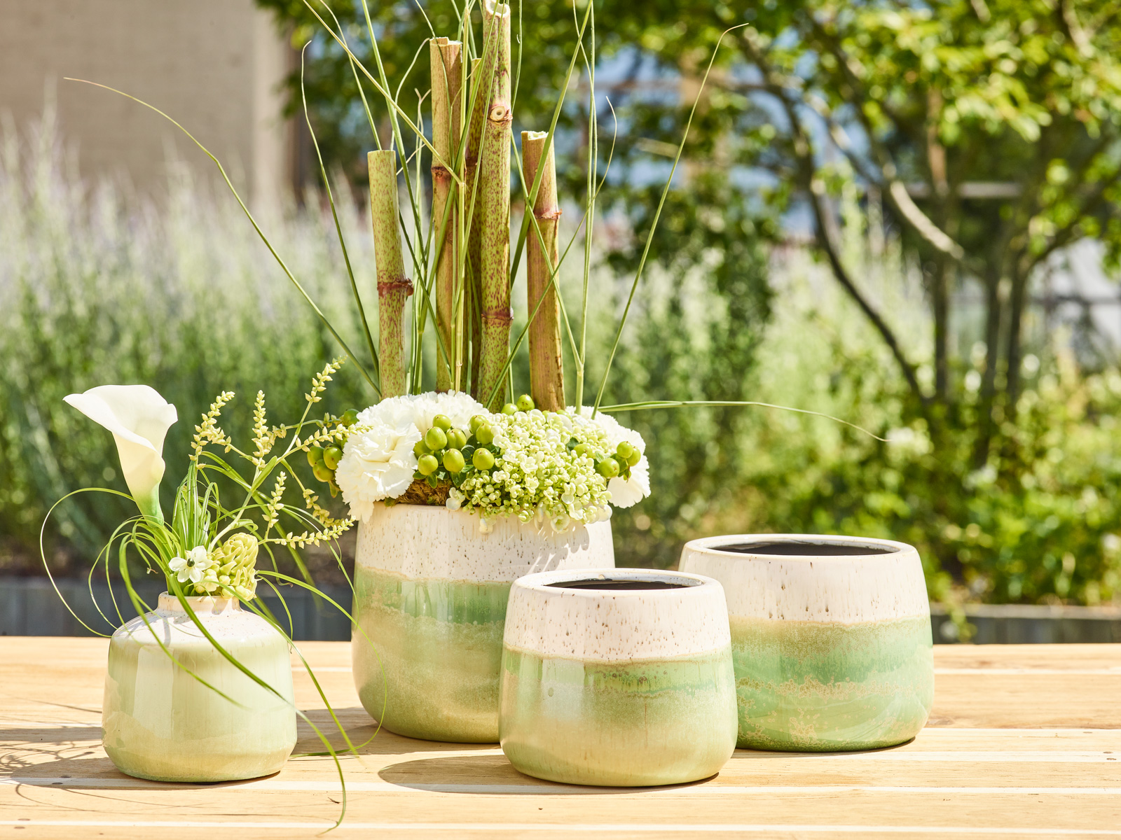 Greenhouse collectie - SimplyD Greenhouse collectie - SimplyD