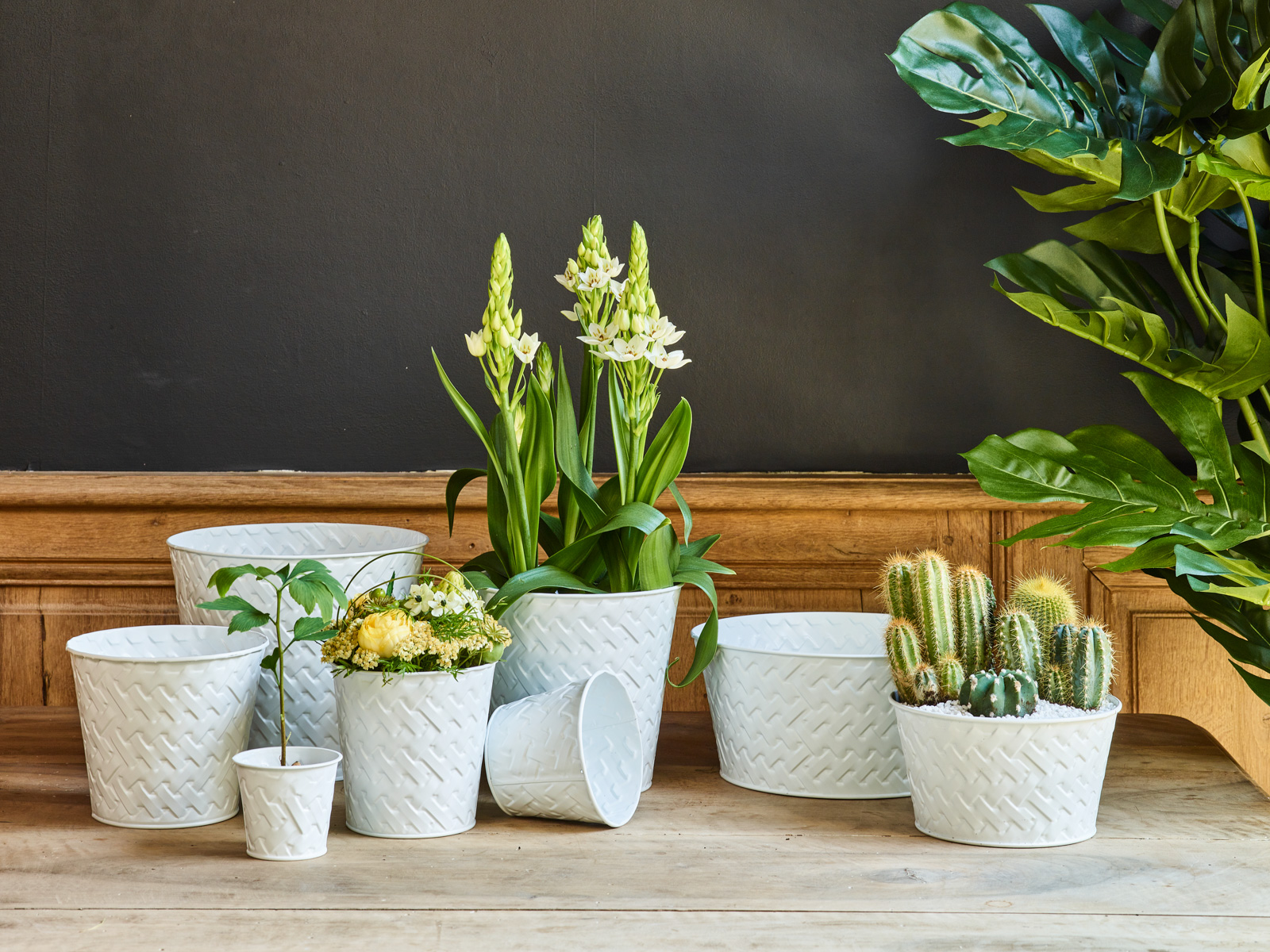 Love design collectie - SimplyD Love design collectie - SimplyD