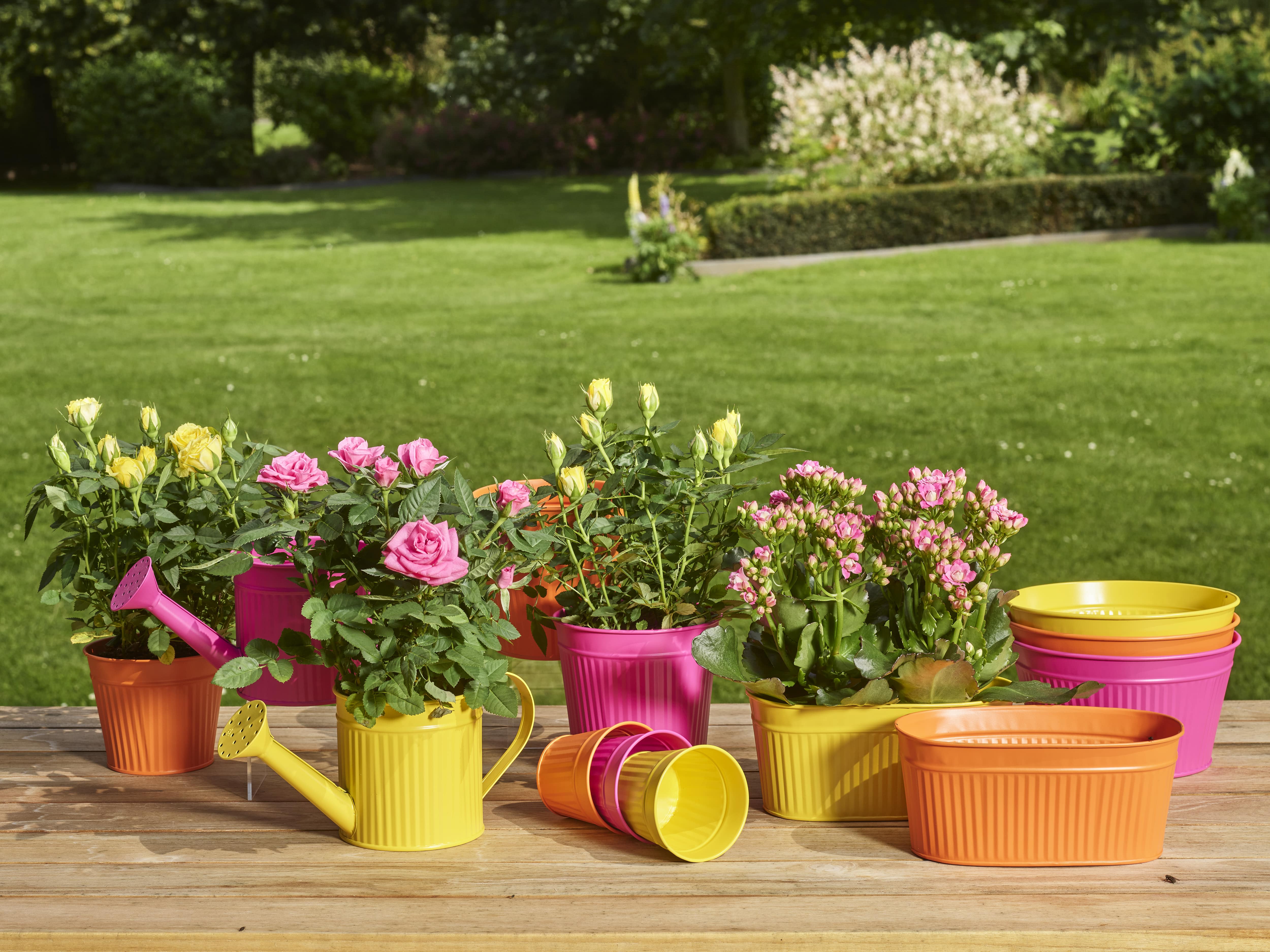 Summery day collection SimplyD