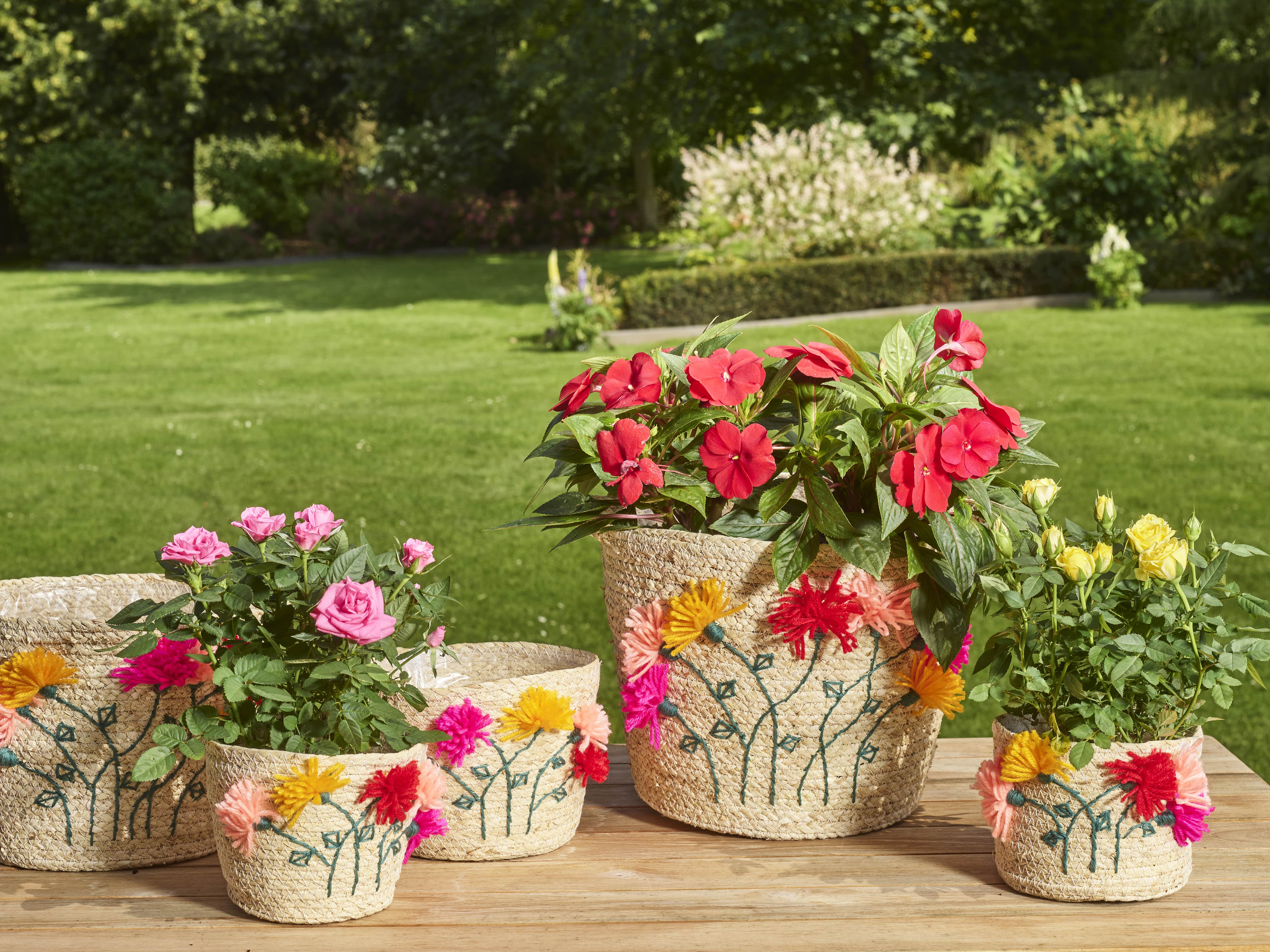 Summery day collection SimplyD