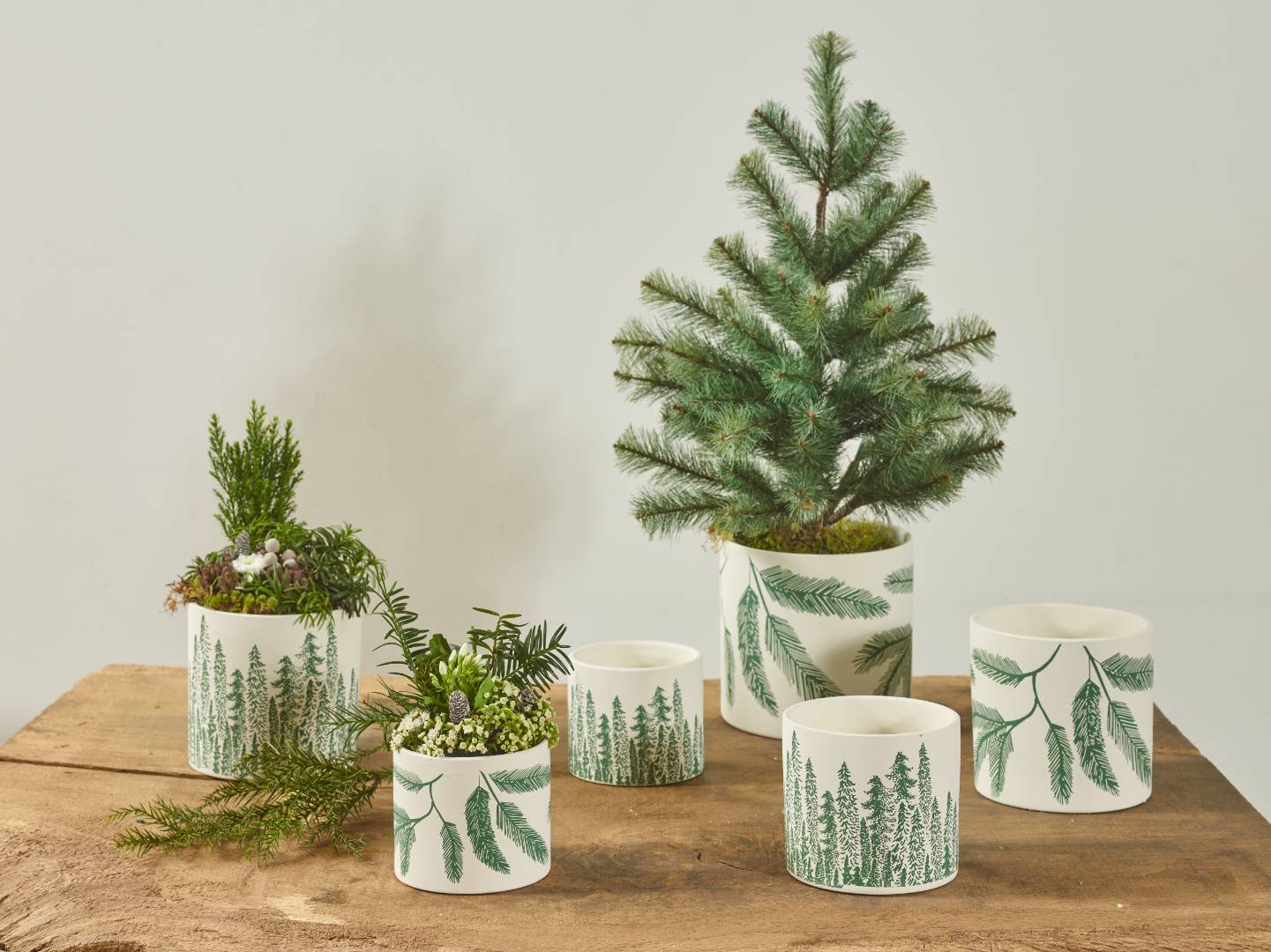 Murmure nature collection SimplyD