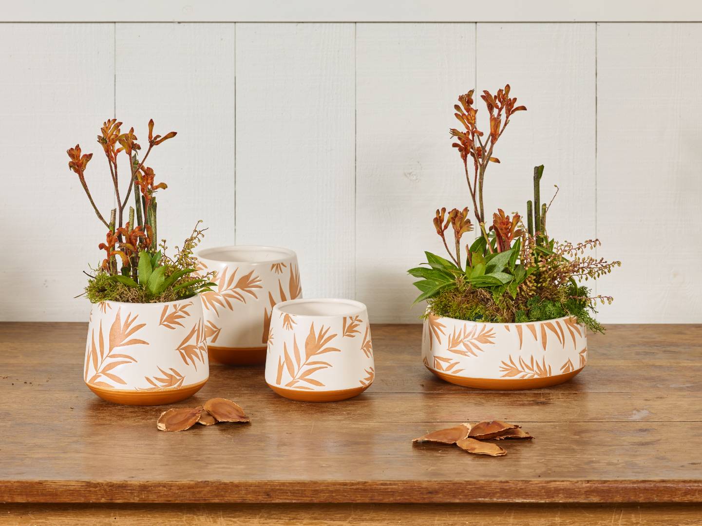 Indian summer collection SimplyD