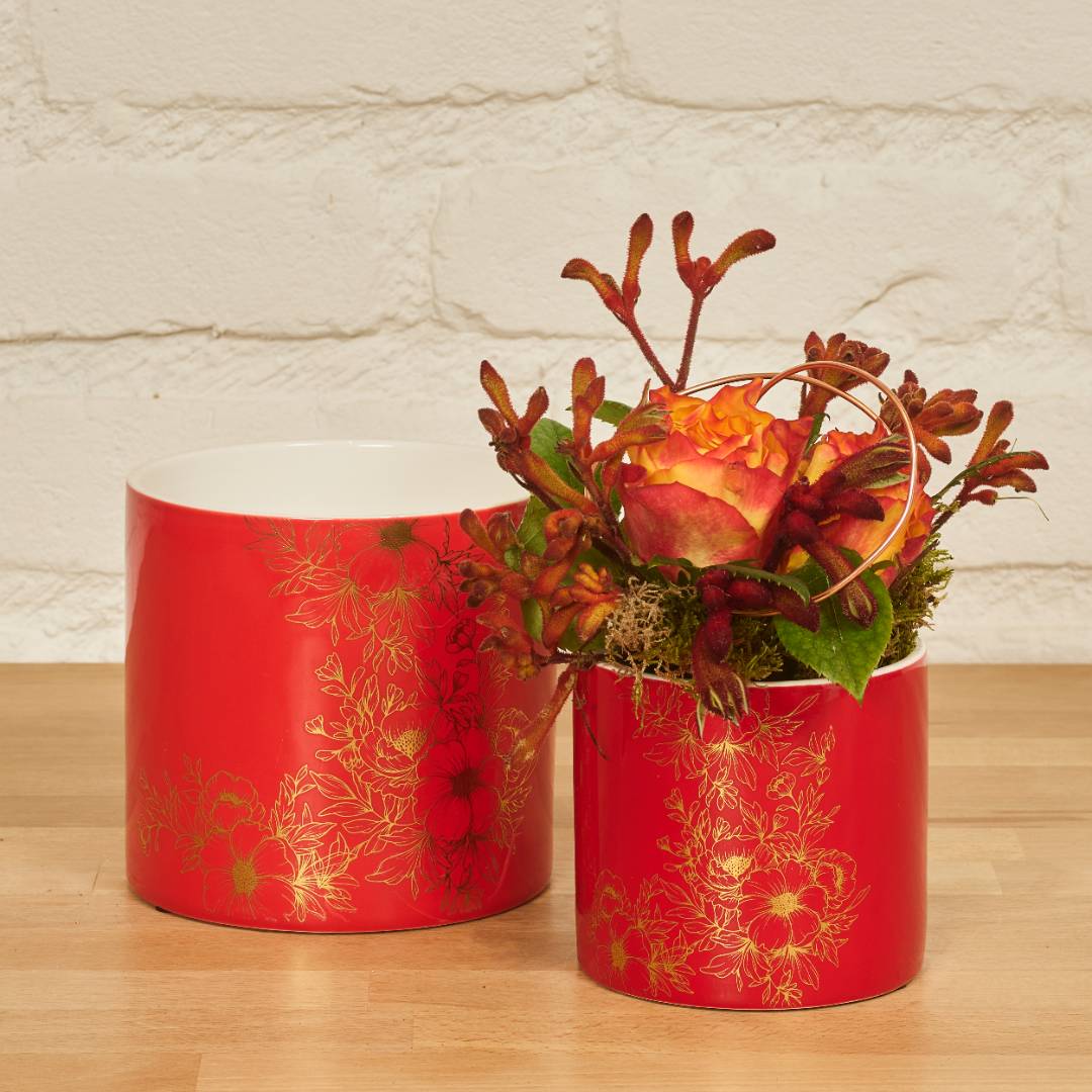 Winter glow collection SimplyD