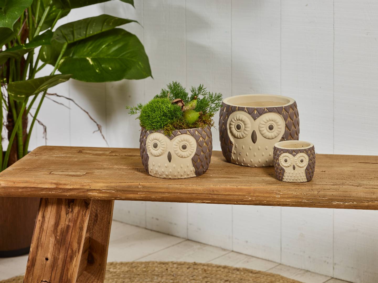 Herfst warmte collection SimplyD