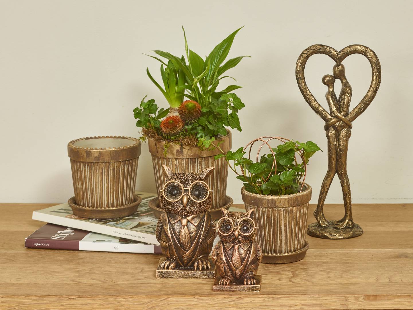 Natural roots collection SimplyD