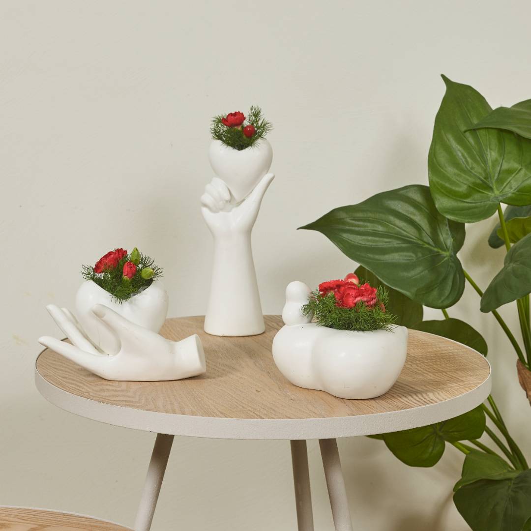 Basis bloemen collection SimplyD