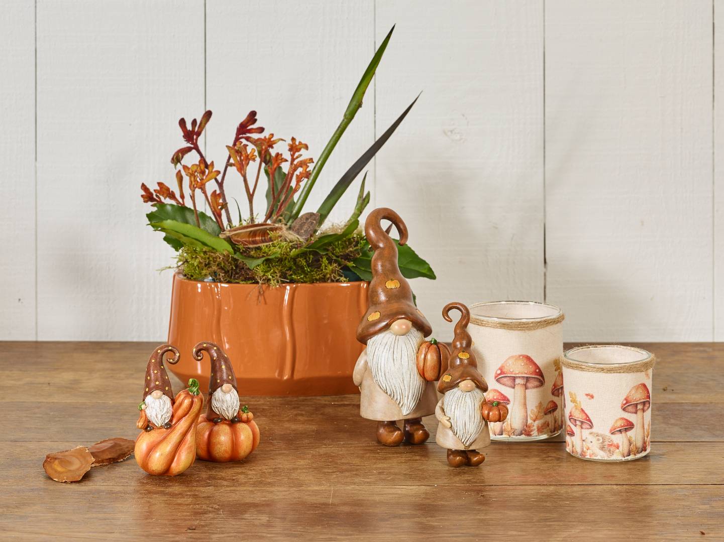 Indian summer collection SimplyD