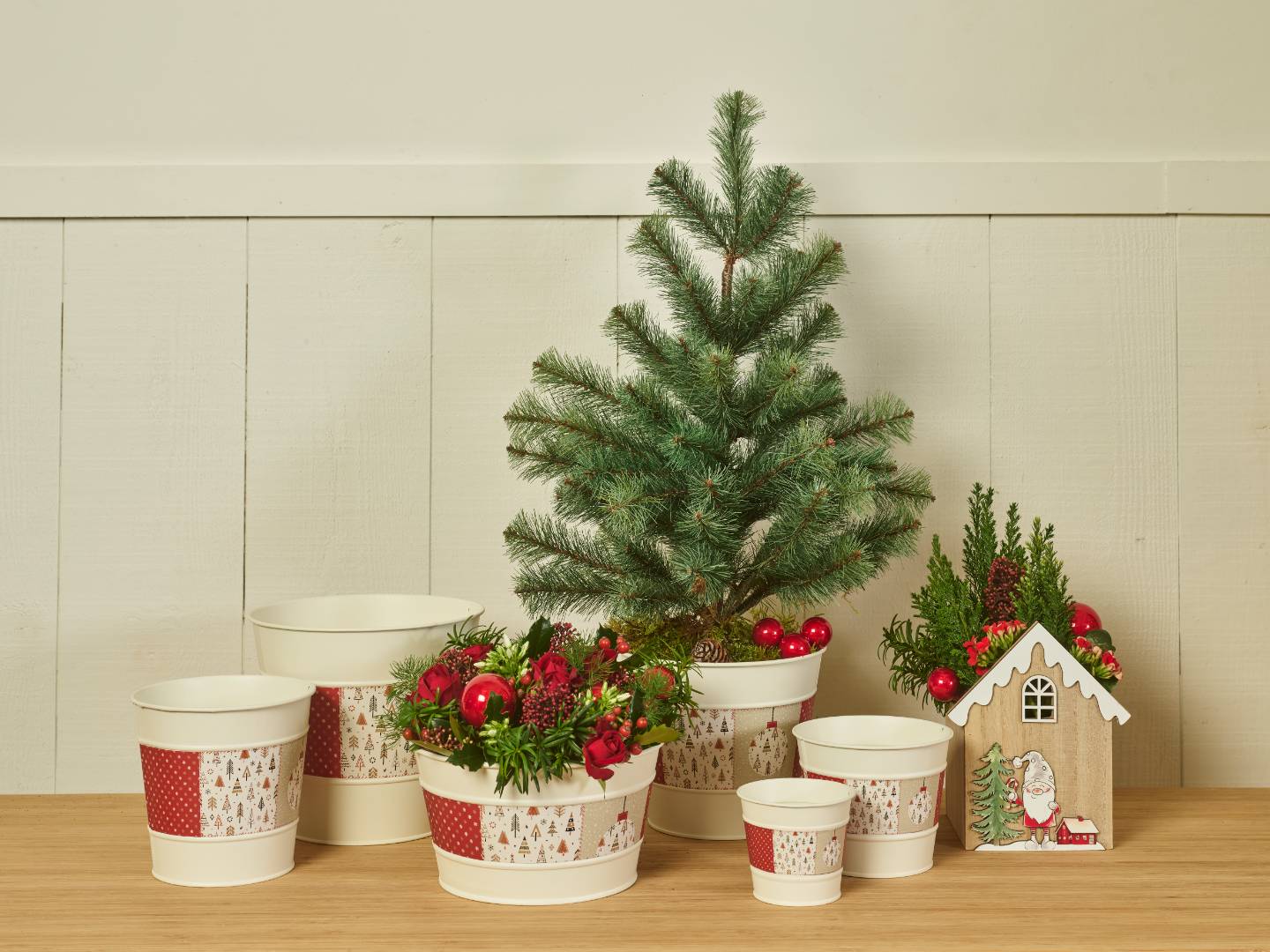 Xmas cookies collection SimplyD
