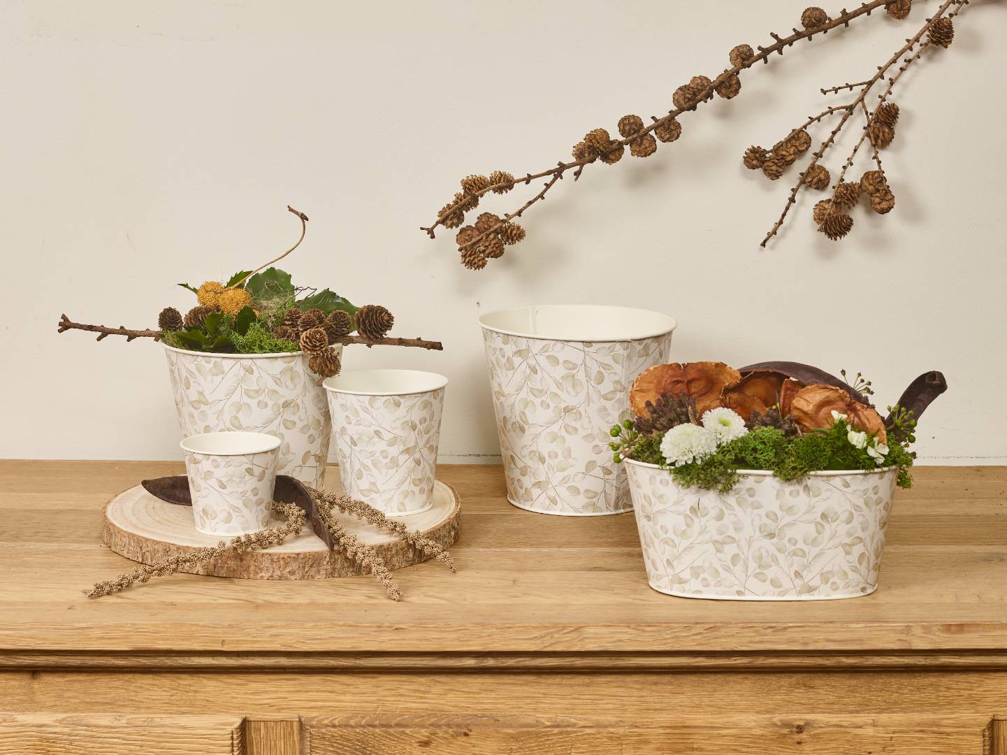 Maison pure collection SimplyD