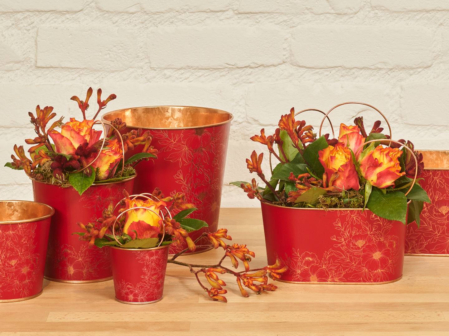 Winter glow collection SimplyD