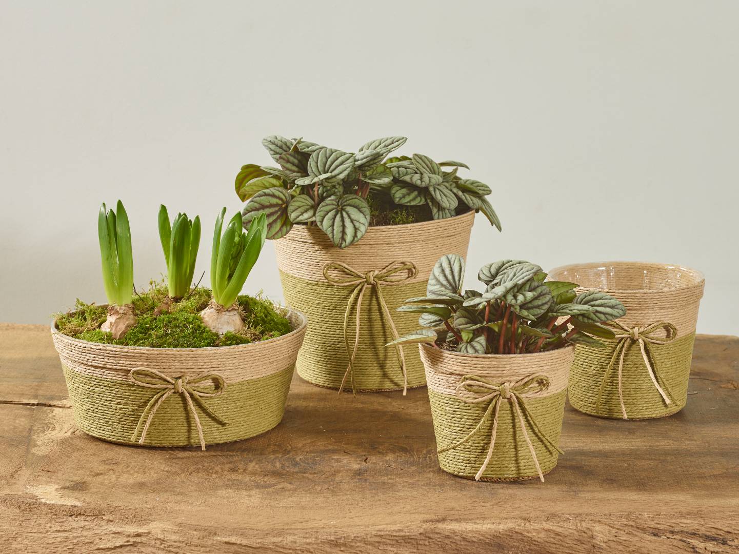 Murmure nature collection SimplyD