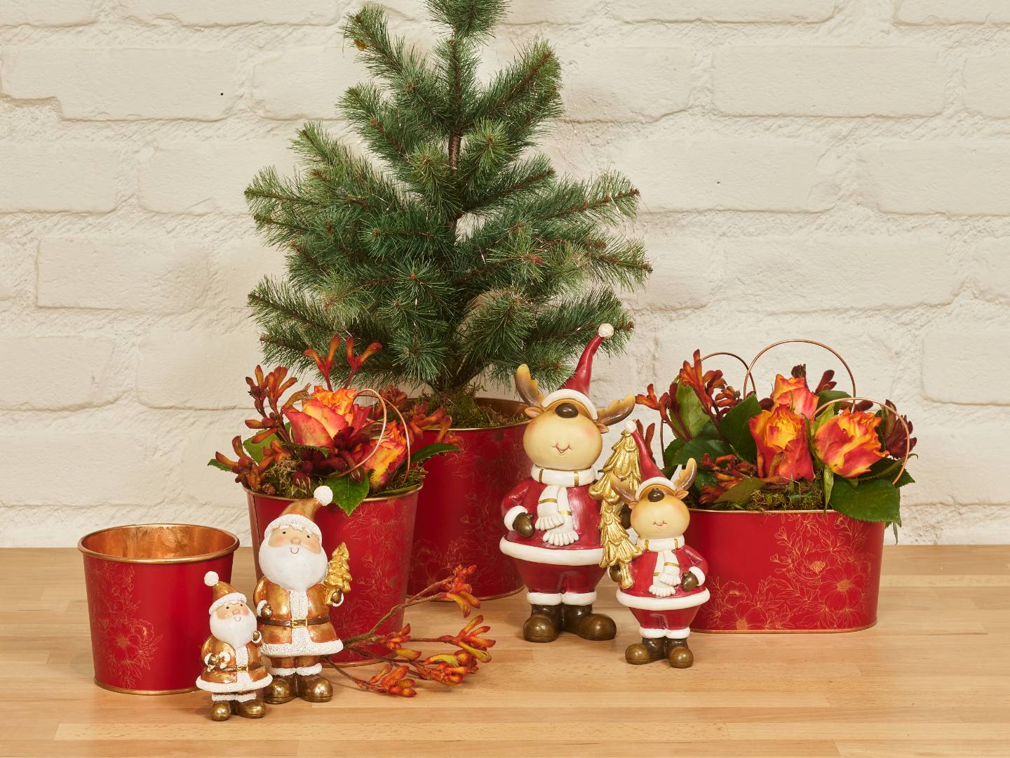 Winter glow collection SimplyD