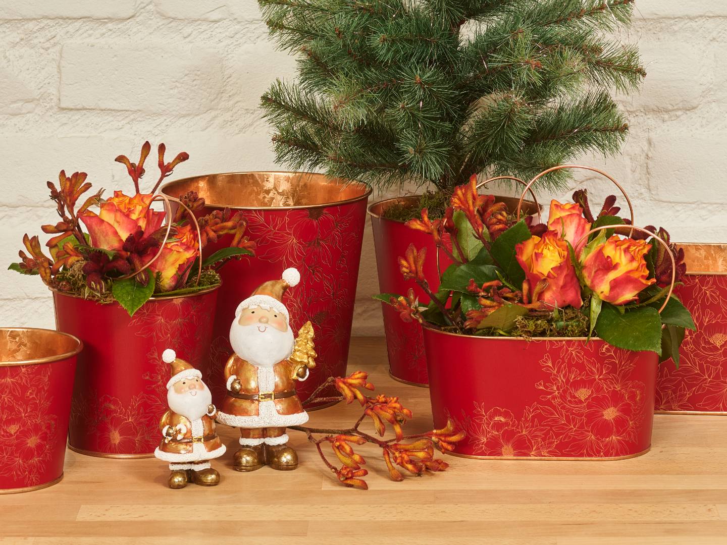 Winter glow collection SimplyD