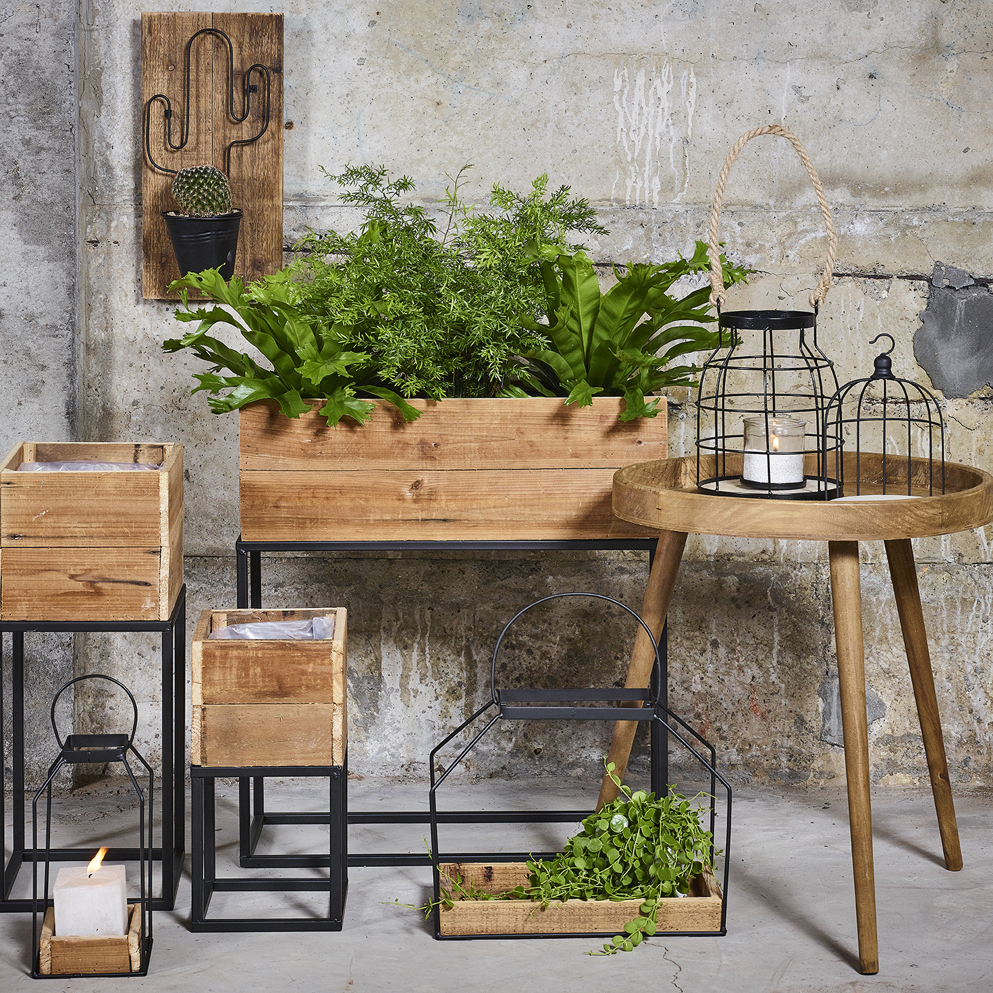 Collectie SimplyD voorjaar 2019 Collectie SimplyD voorjaar 2019