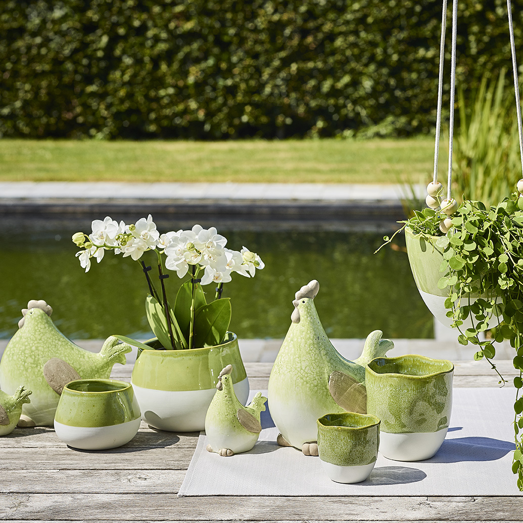 Collectie SimplyD voorjaar 2019 Collectie SimplyD voorjaar 2019