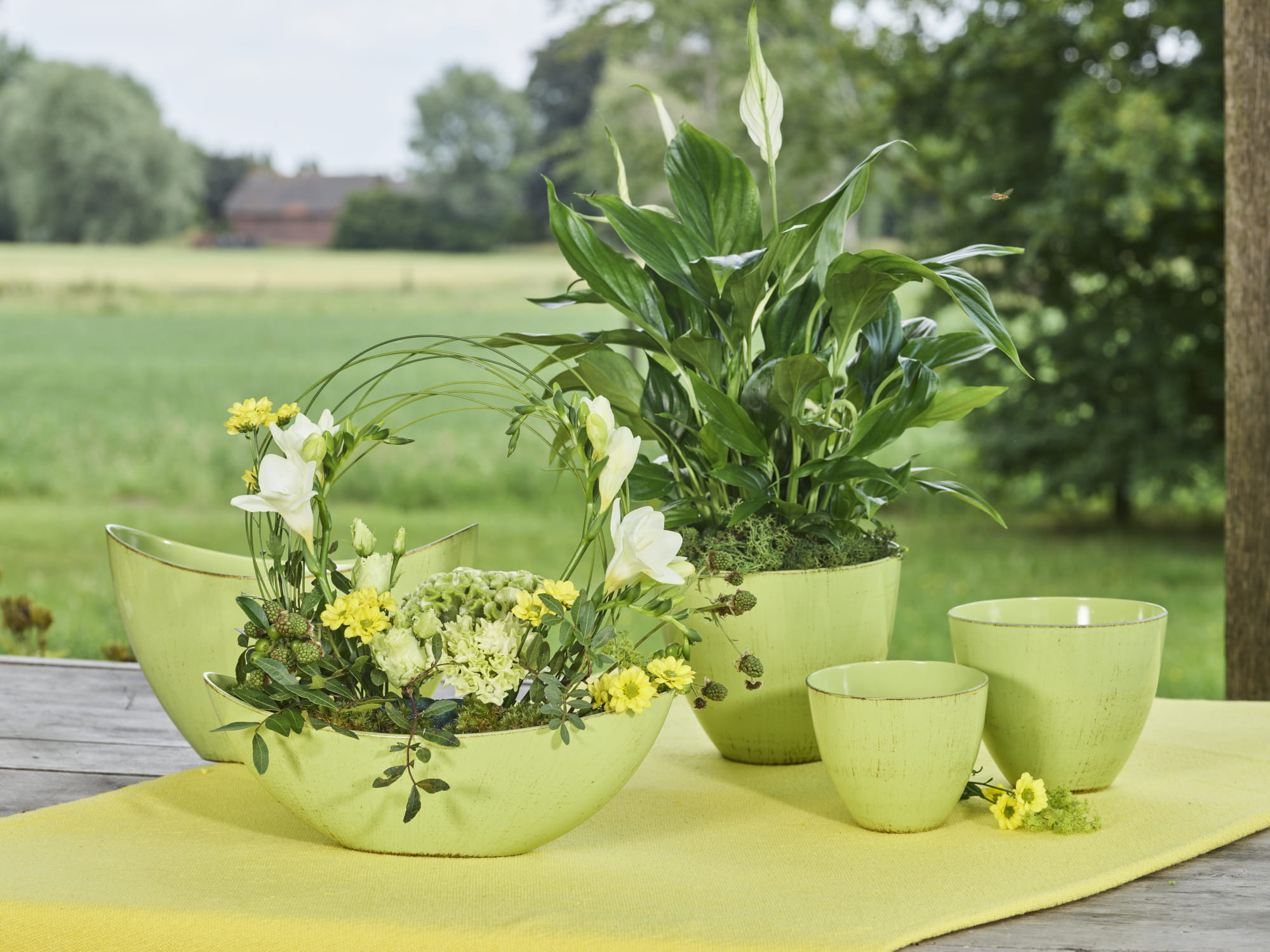 Collection Été – Printemps 2026