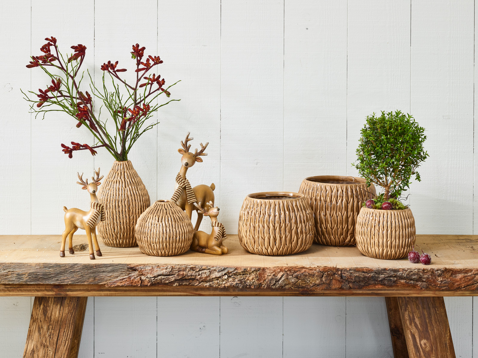 Puur natuur collectie - SimplyD Puur natuur collectie - SimplyD