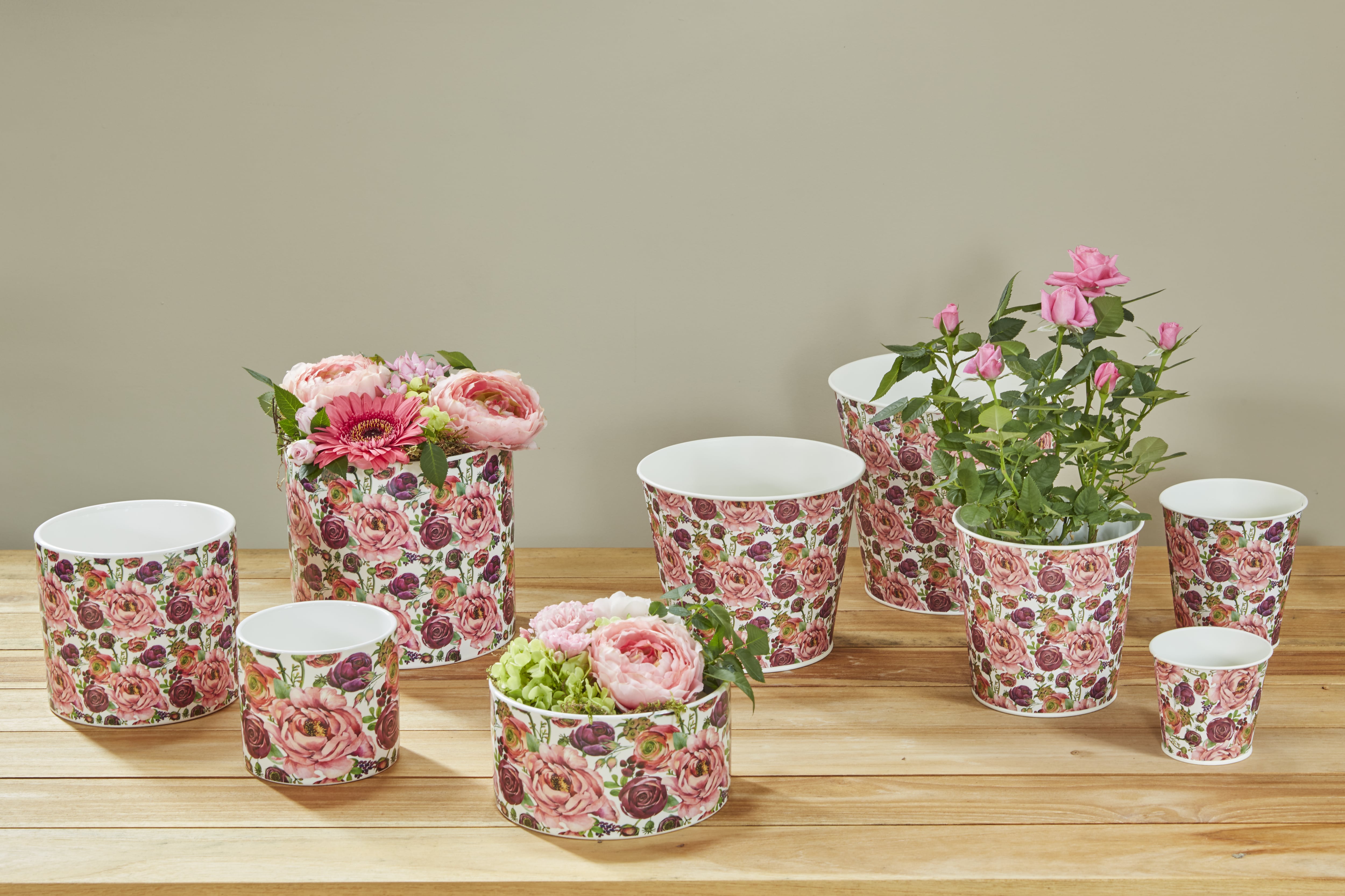 Roses and peonies collection SimplyD