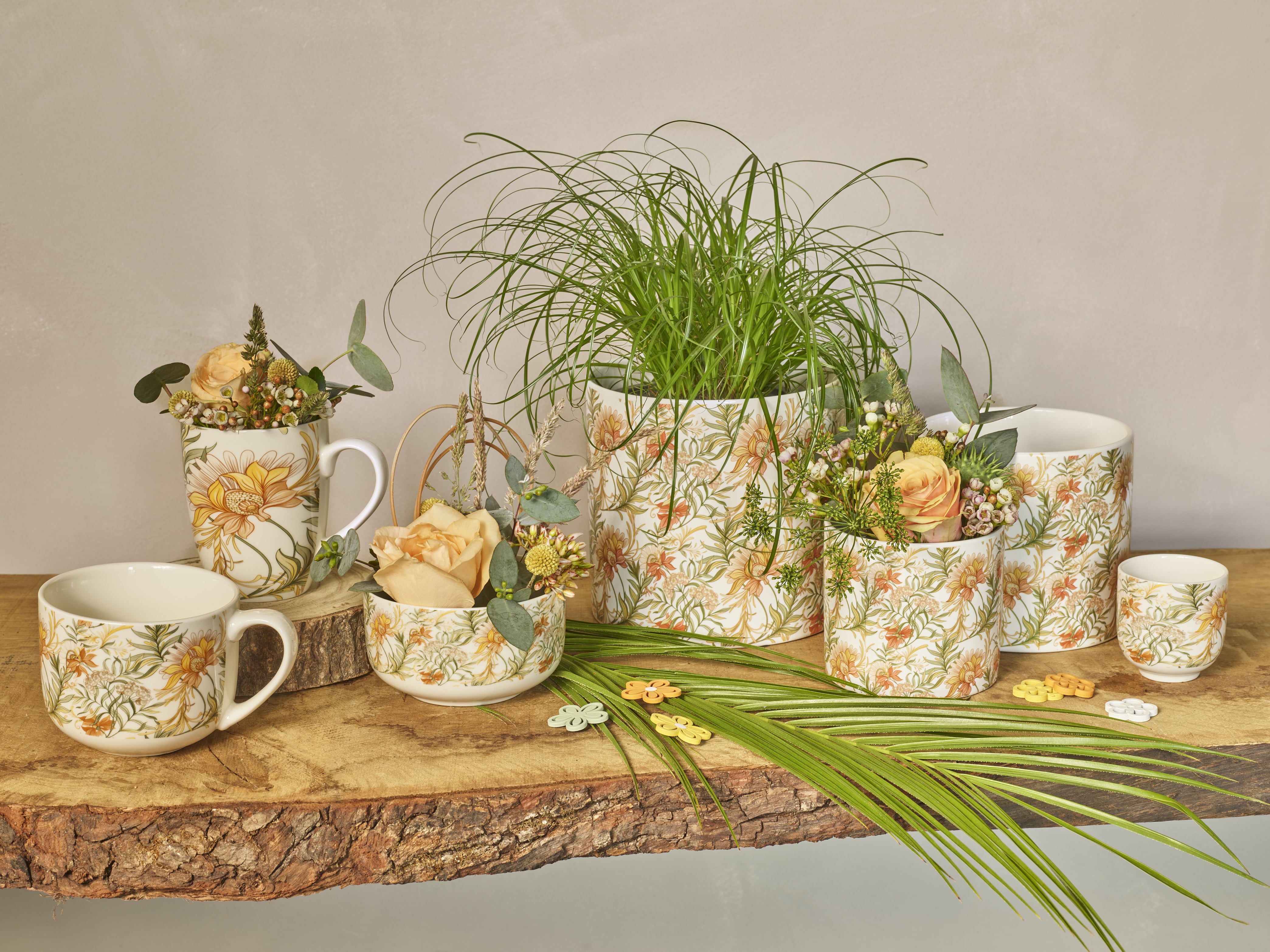 Tropical sunrise collection-SimplyD