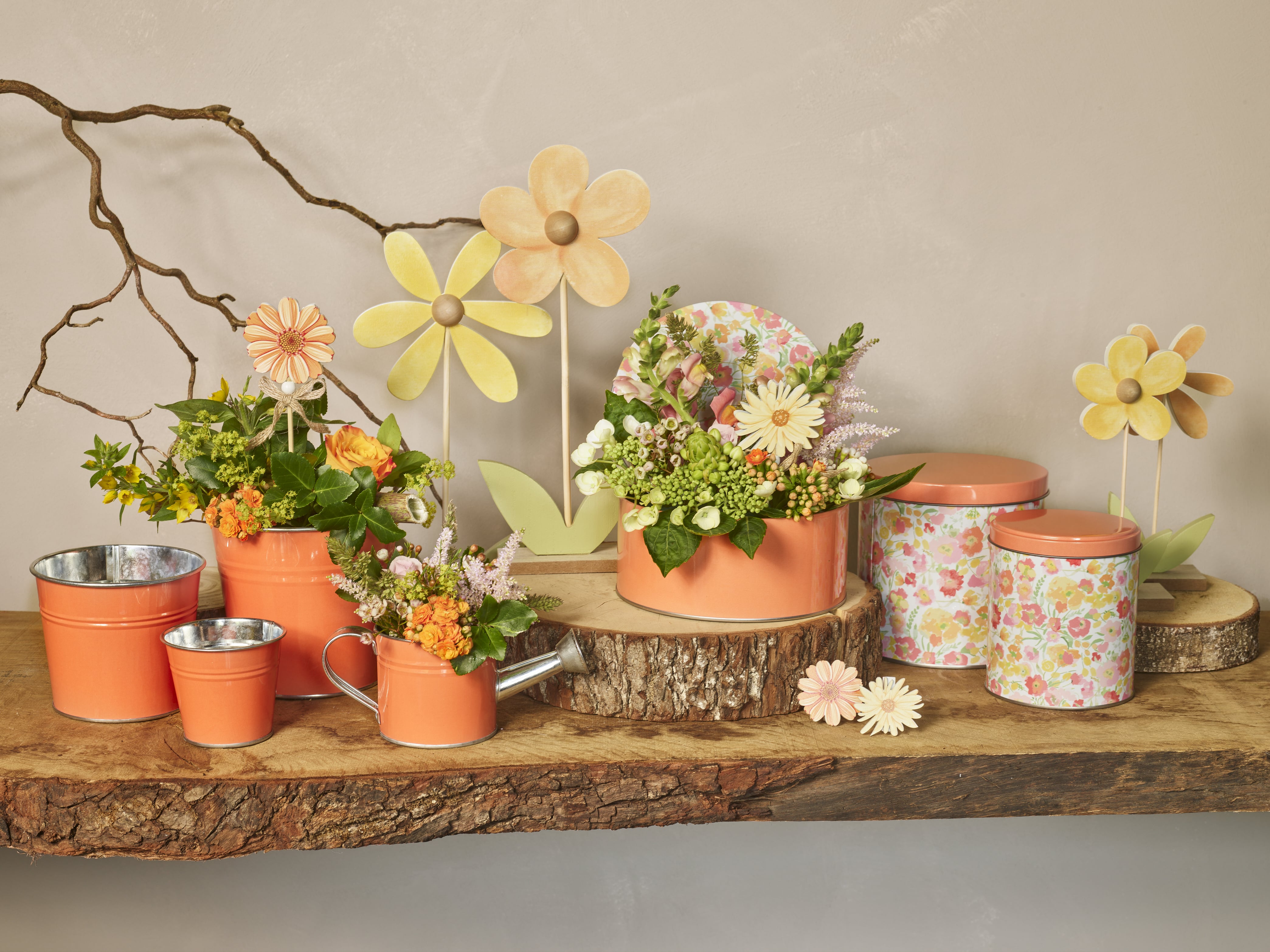 Be my clementine collection SimplyD