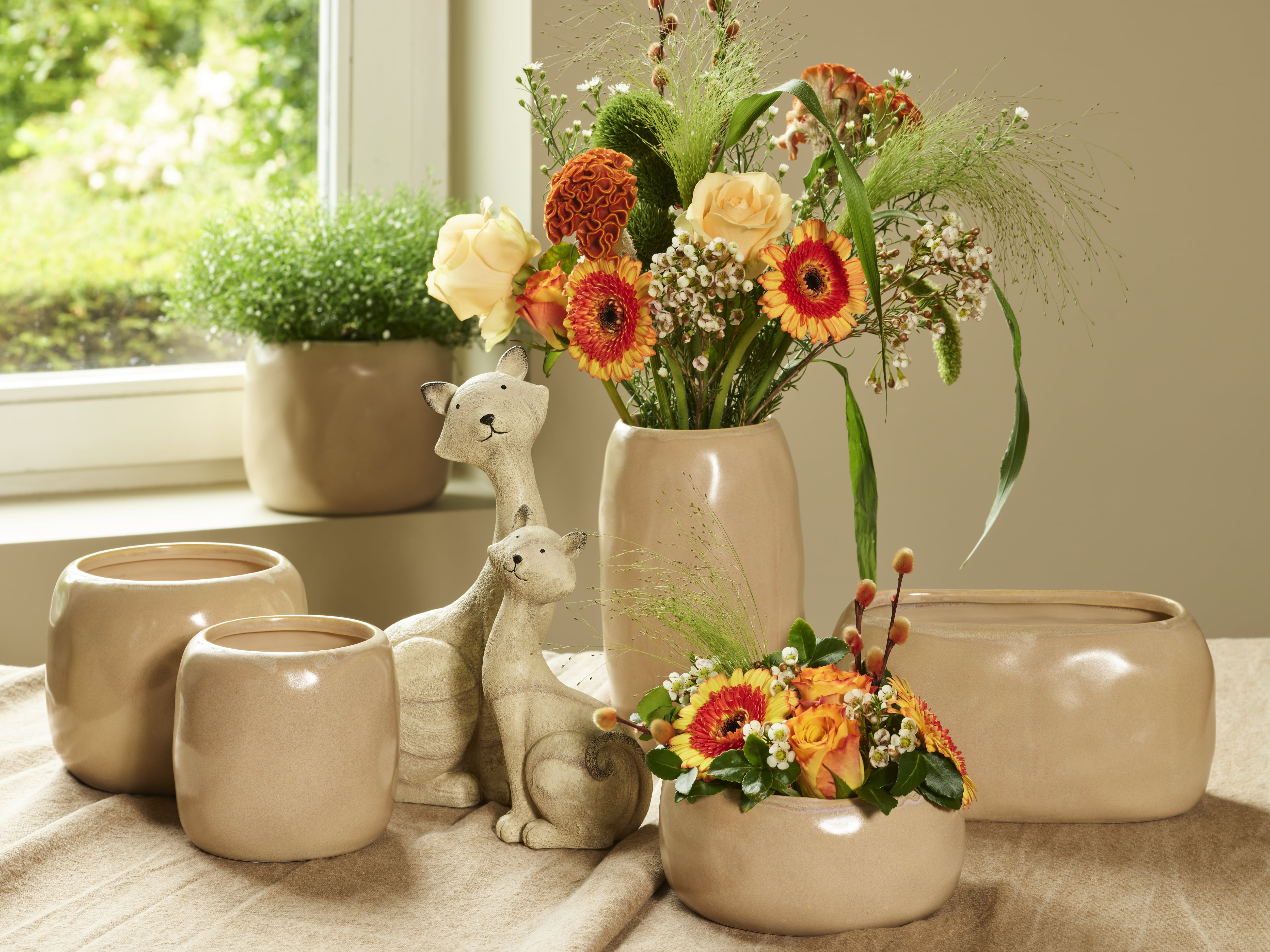 Natural elegance collection SimplyD