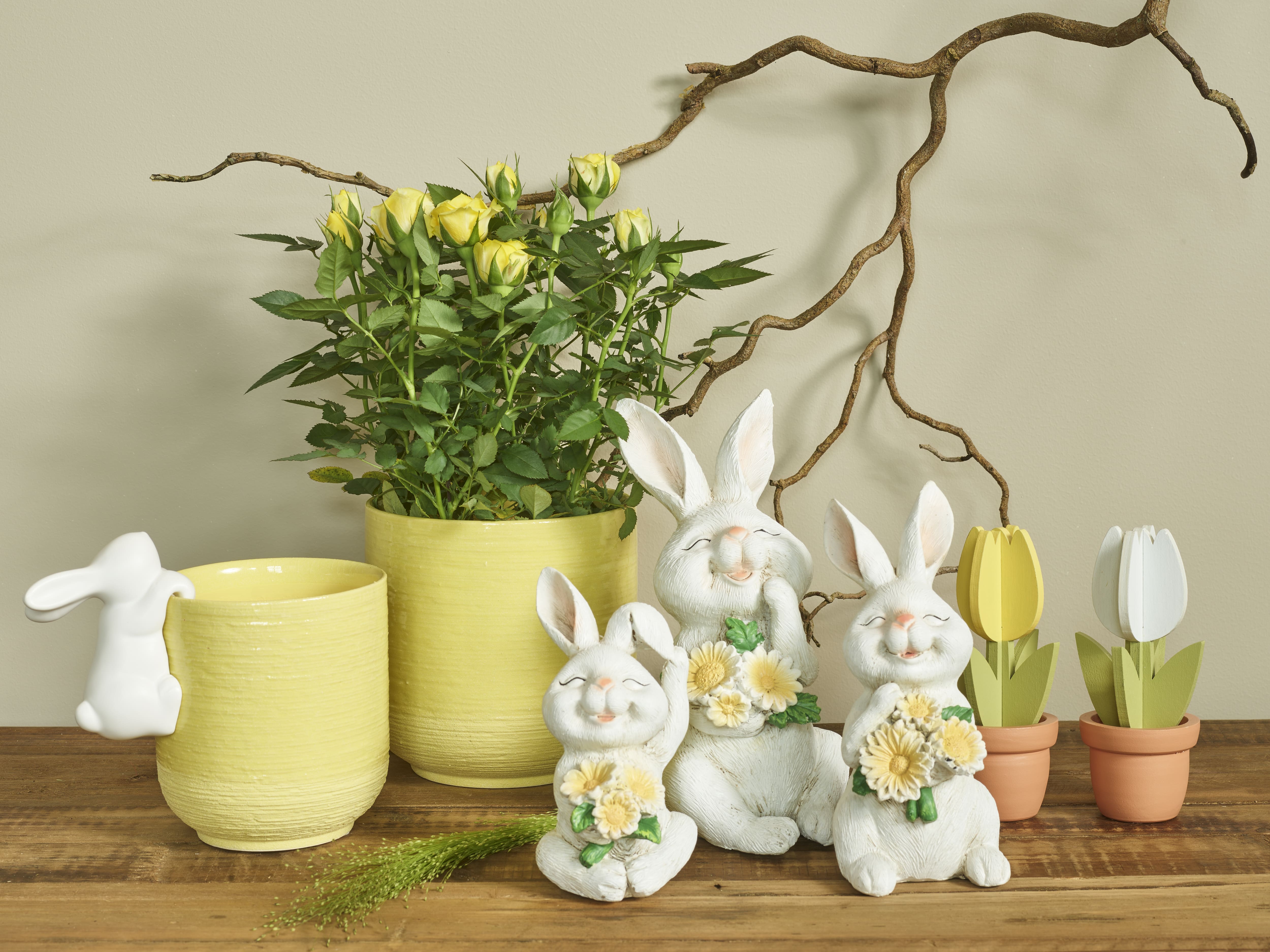 Sunny spring collection SimplyD