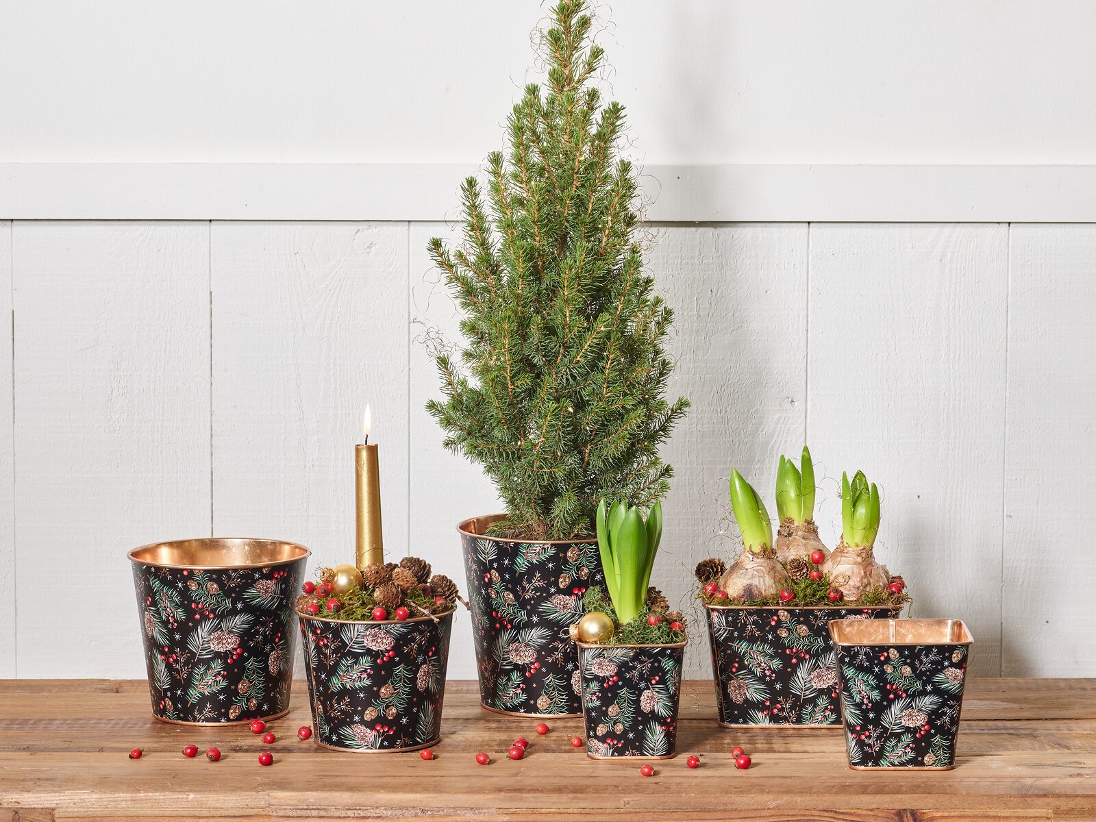 Xmas greens
