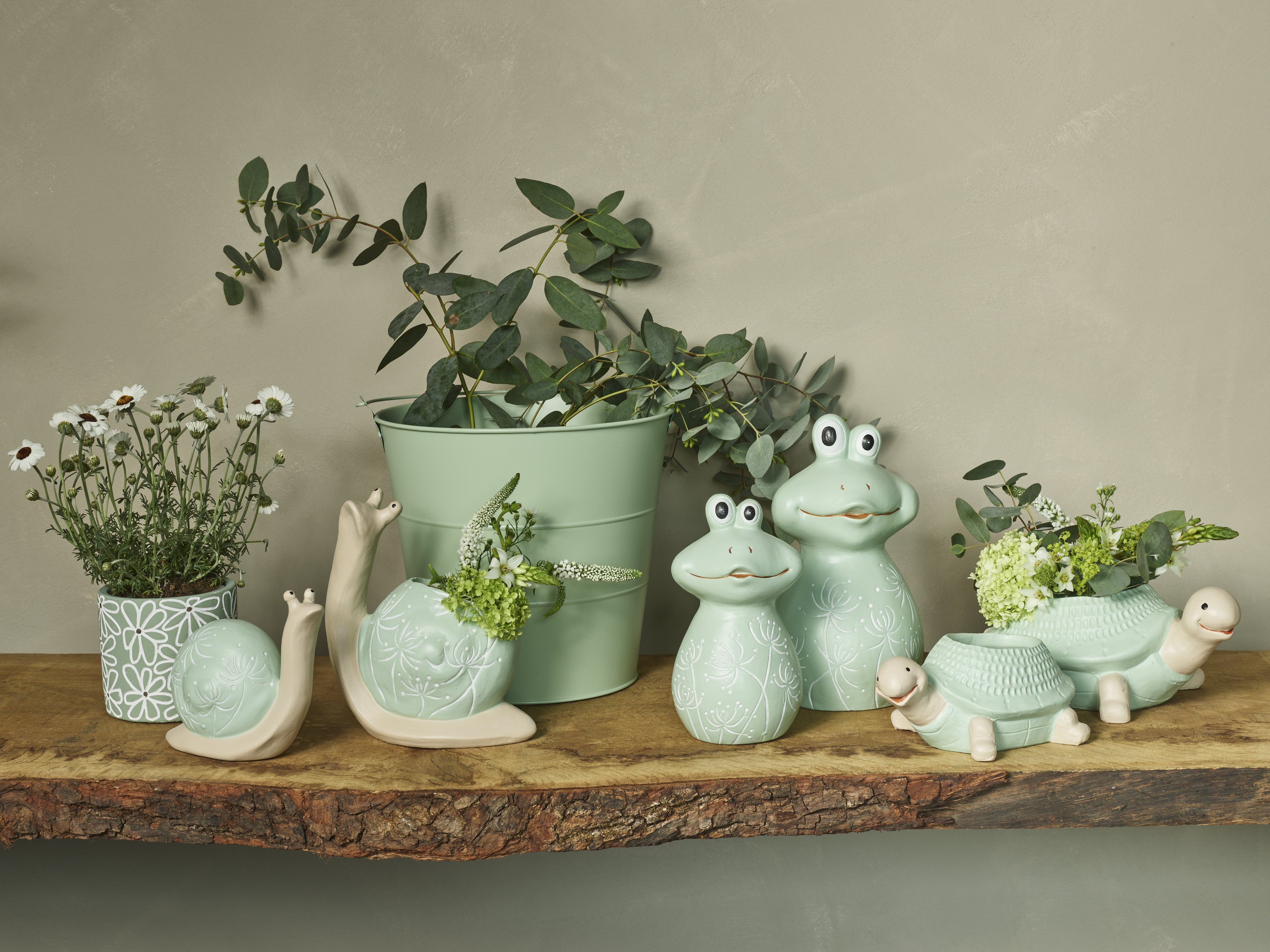 Graceful green collection SimplyD